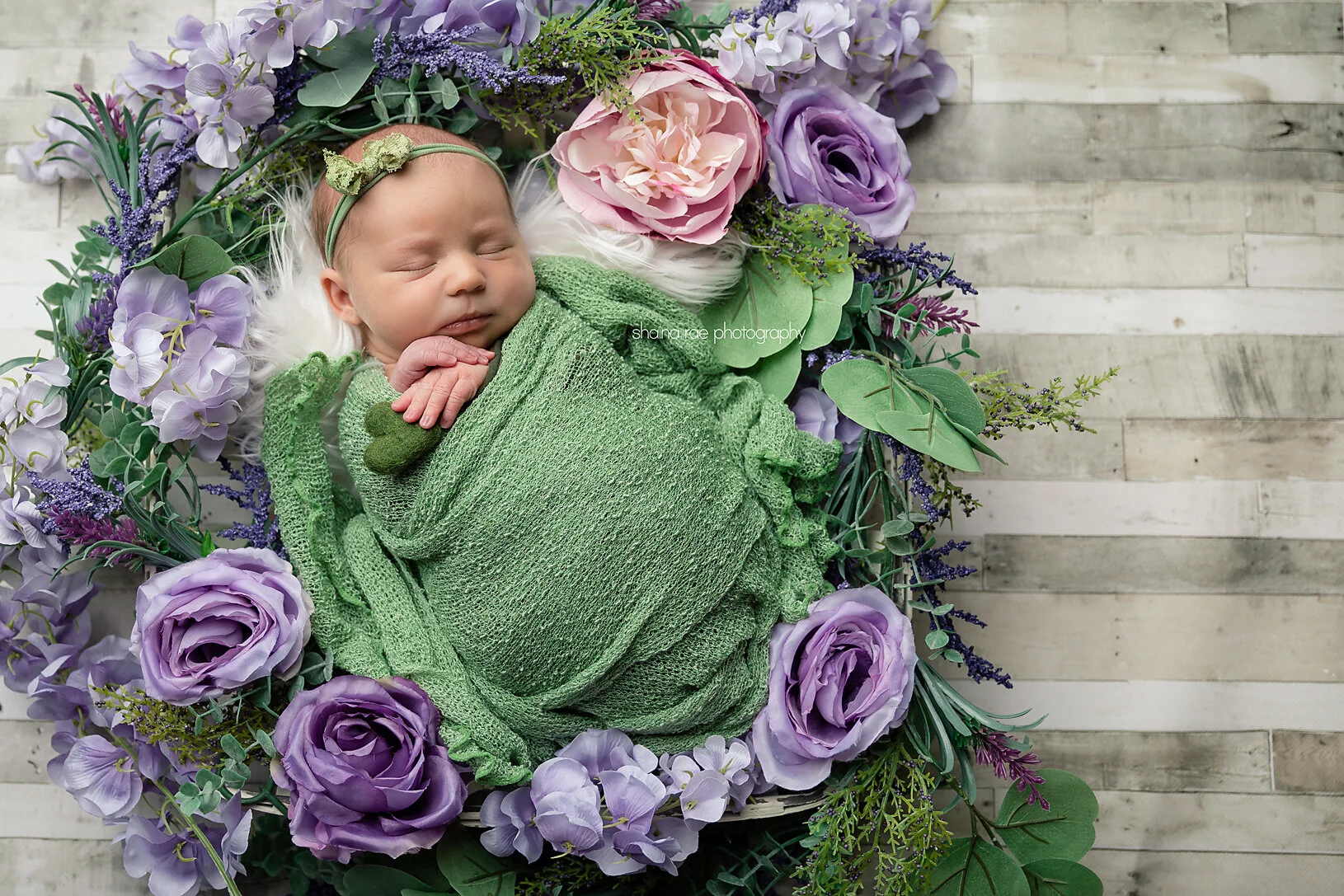 Willow0005.jpg