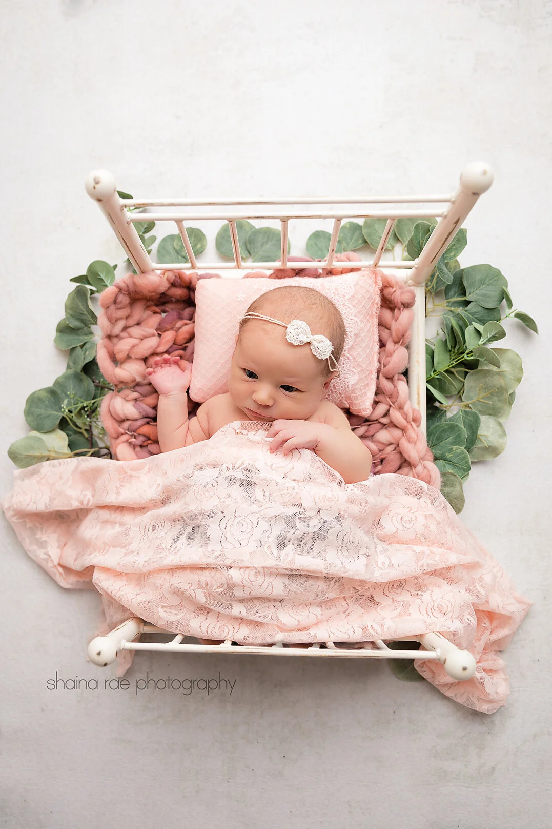 Willow0056.jpg