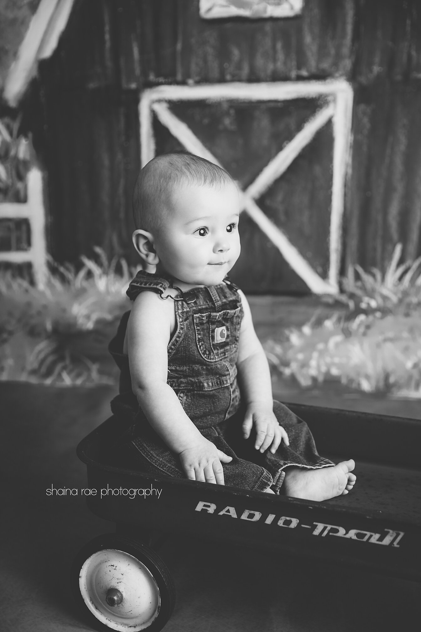 Aiden6-0013.jpg
