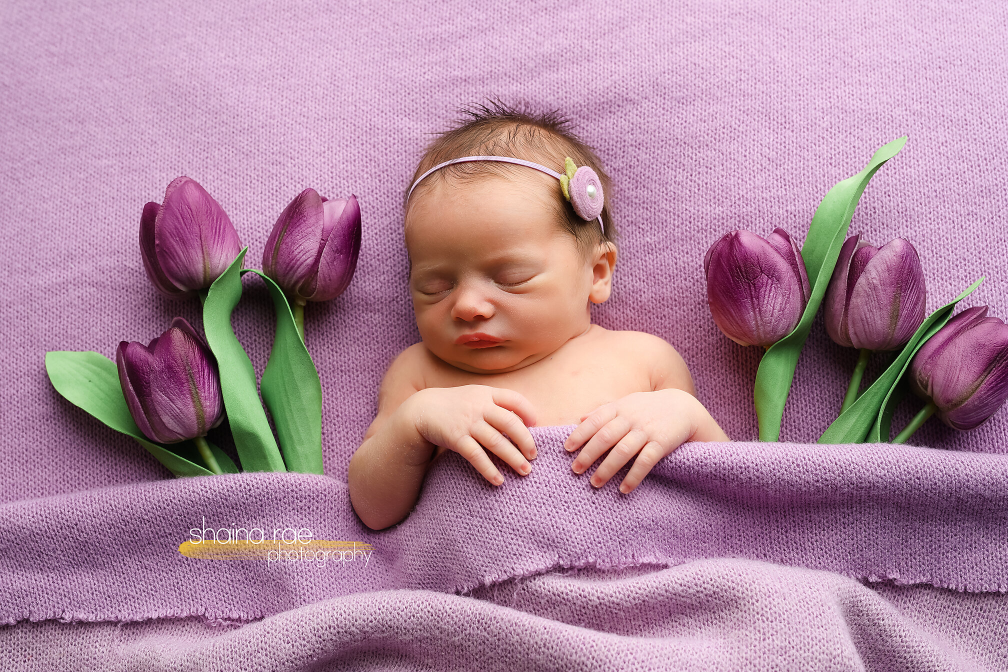 Norah0041.jpg