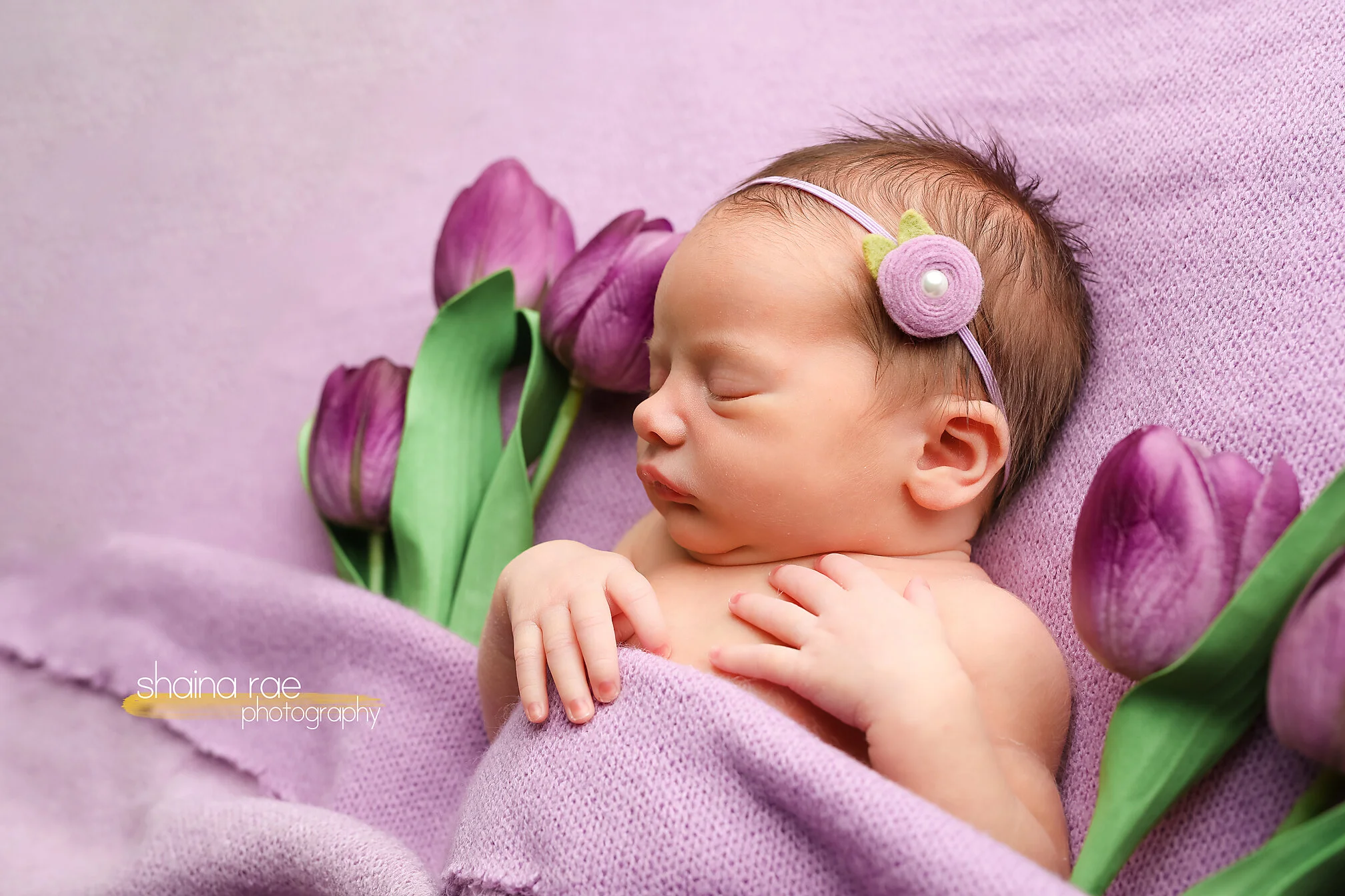 Norah0038.jpg