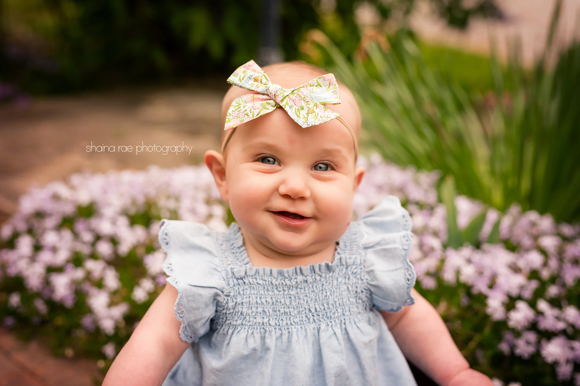 Georgia6Mo0014.jpg