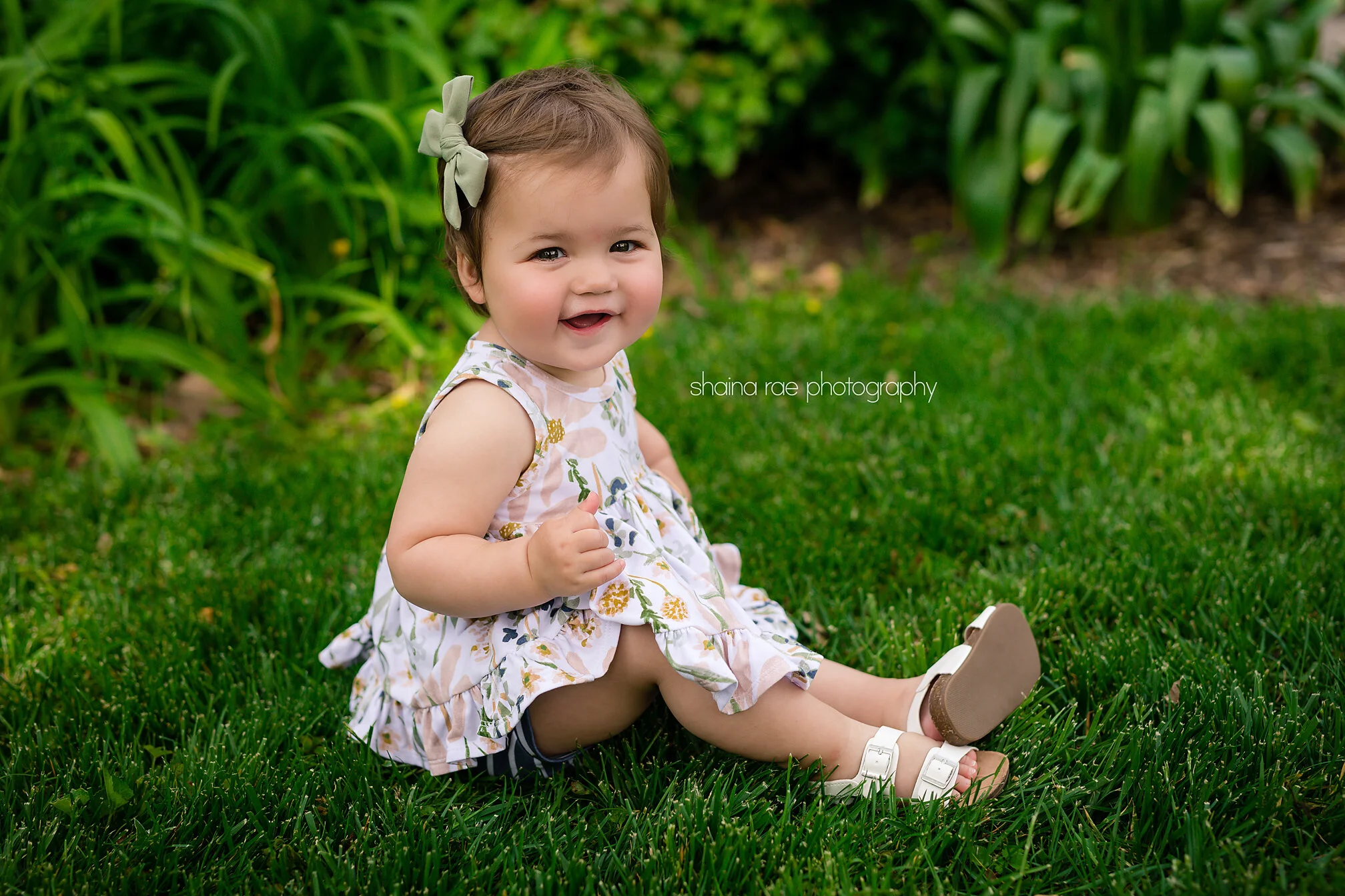 Lila10024.jpg