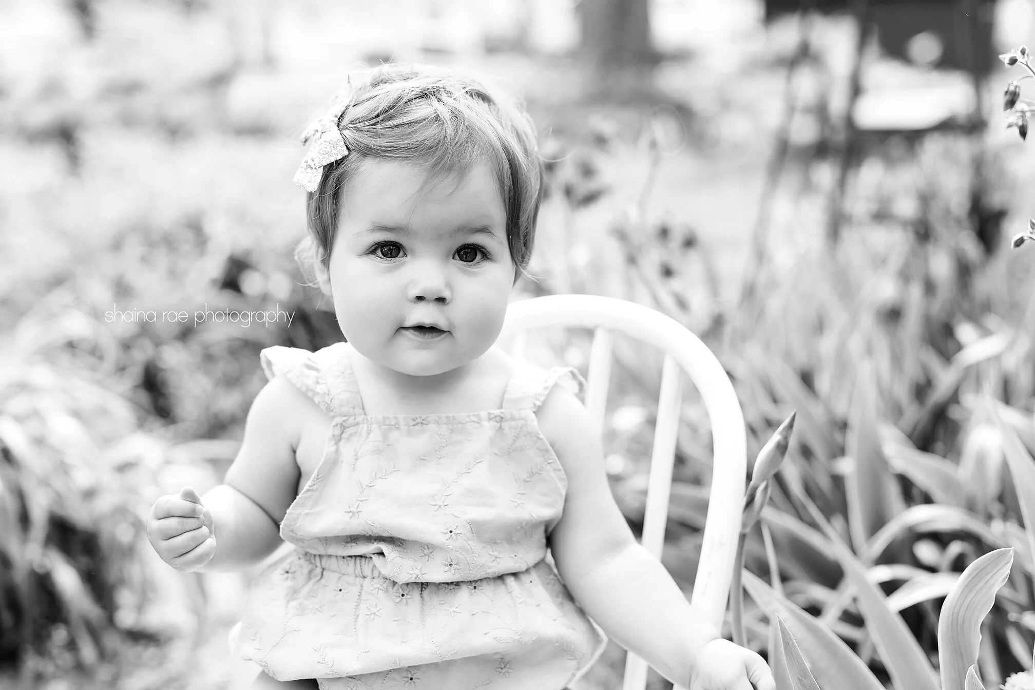 Lila10050.jpg