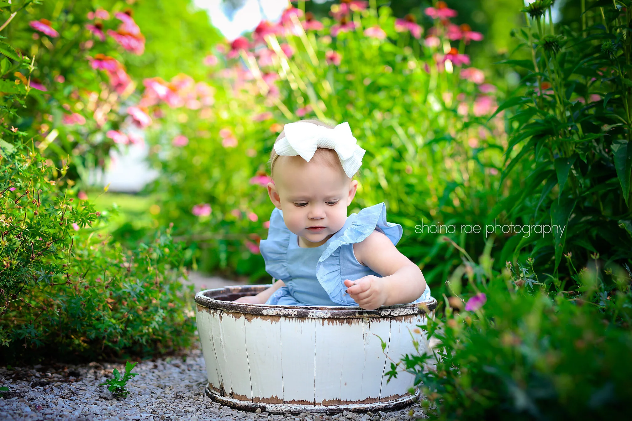 HarperAnn0013.jpg