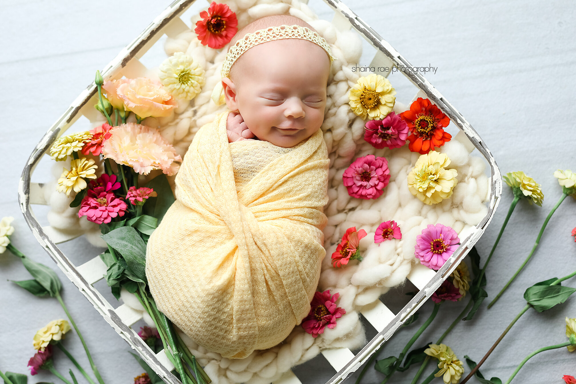 Josie-84.jpg