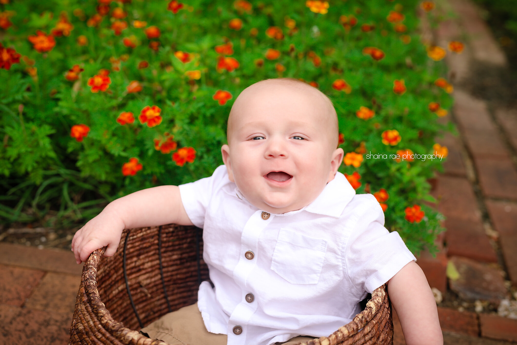 Jamison-5.jpg