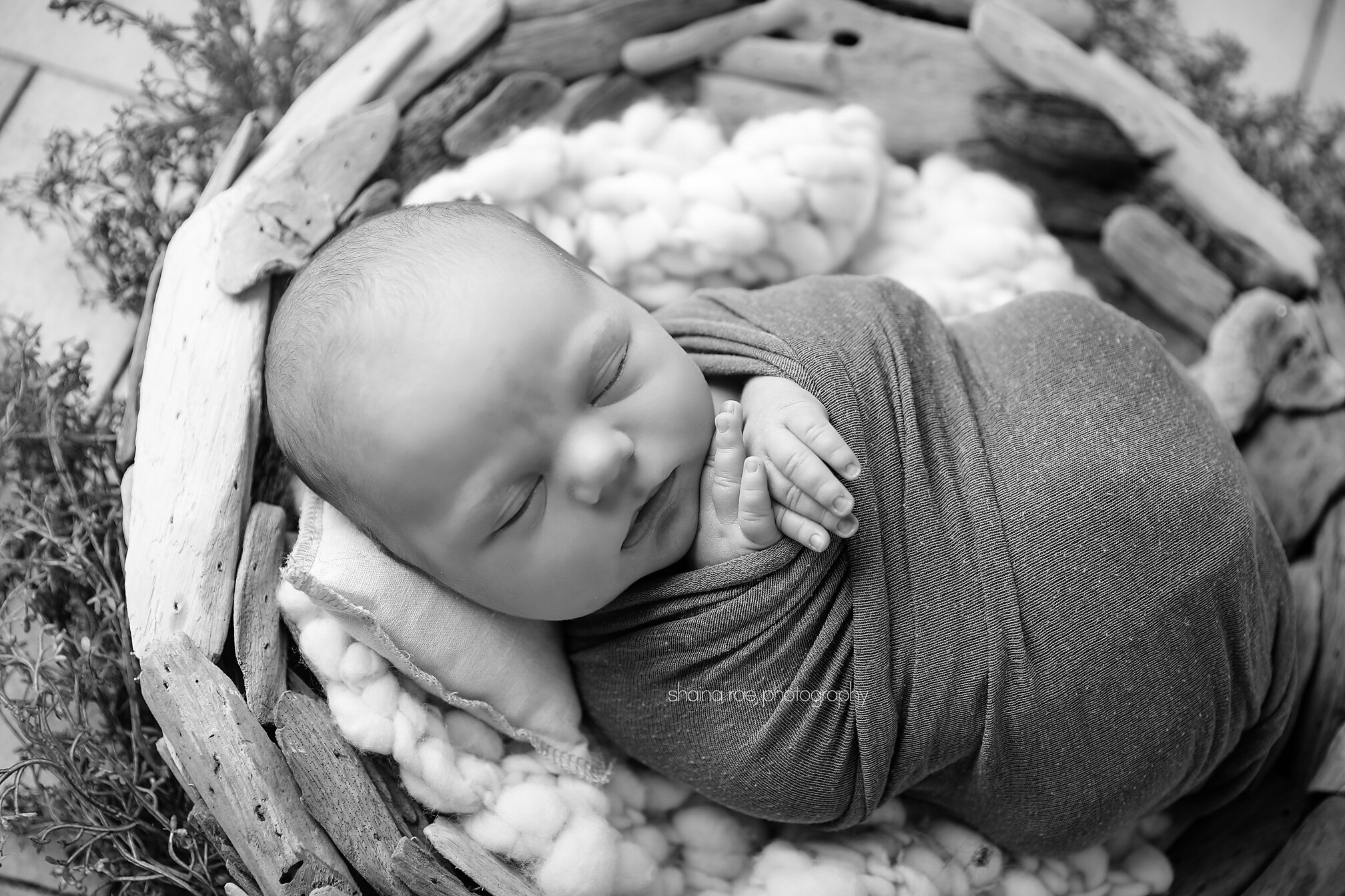 Tatum0073.jpg