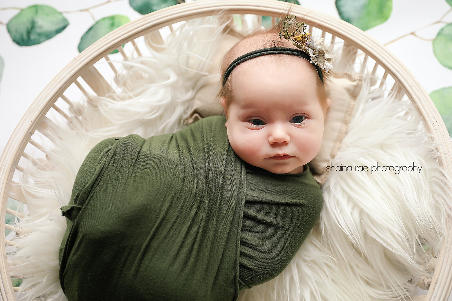 Hadley-19.jpg