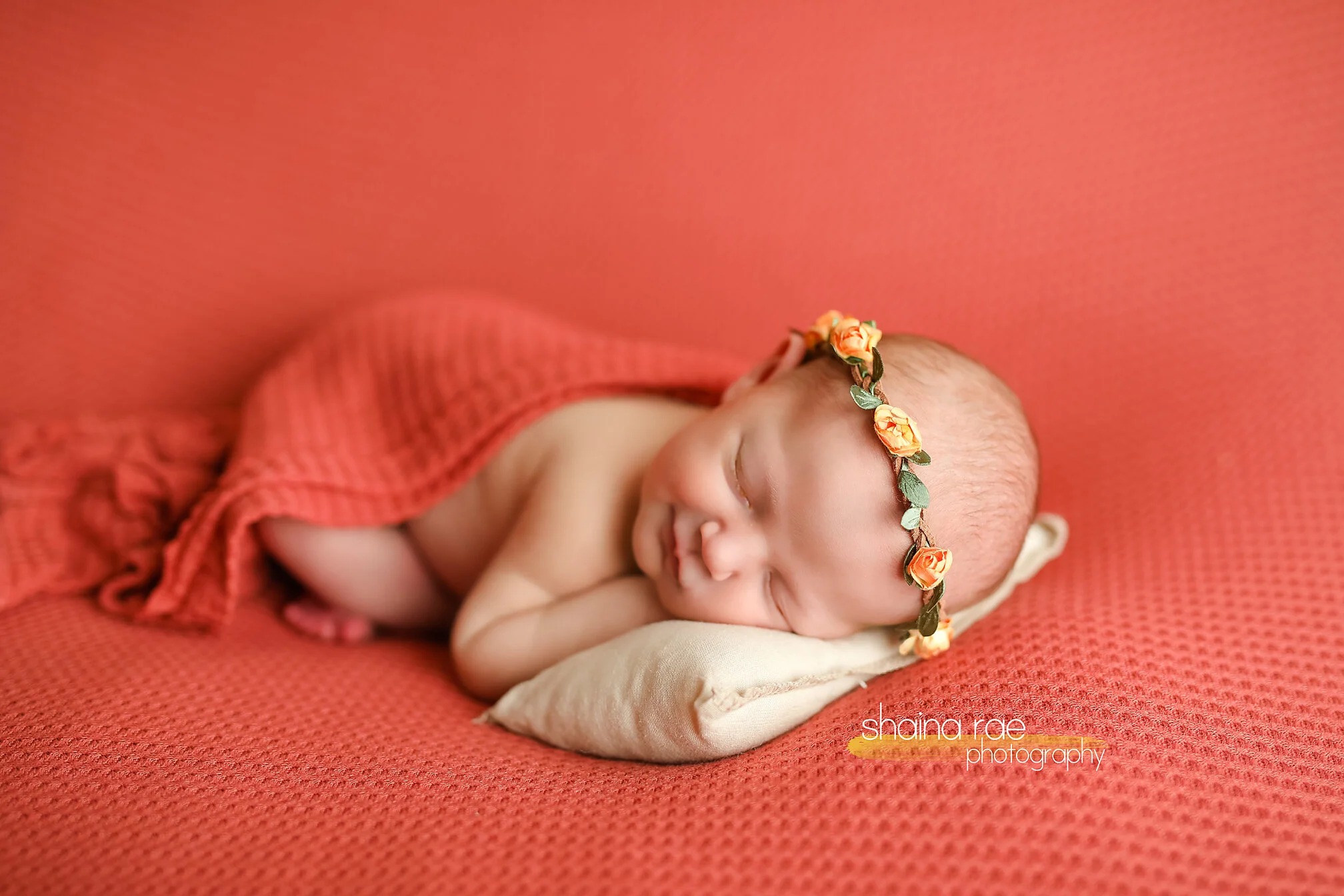 SophieE-93.jpg