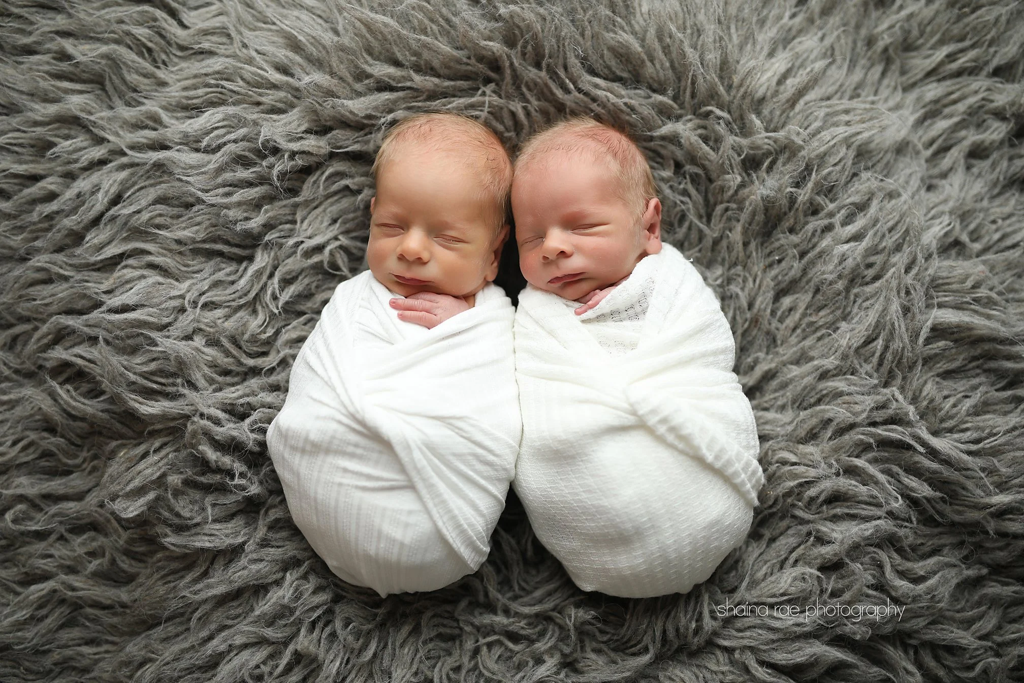 Beck+Bodhi-5.jpg