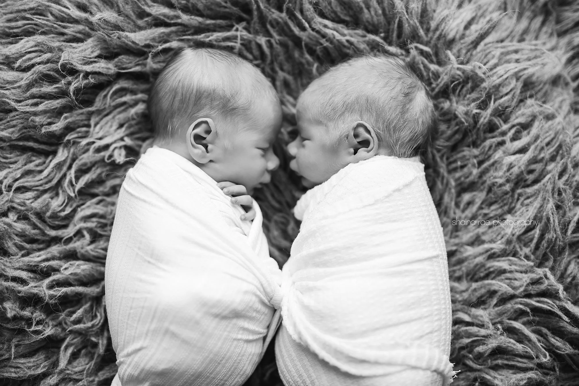 Beck+Bodhi-7.jpg