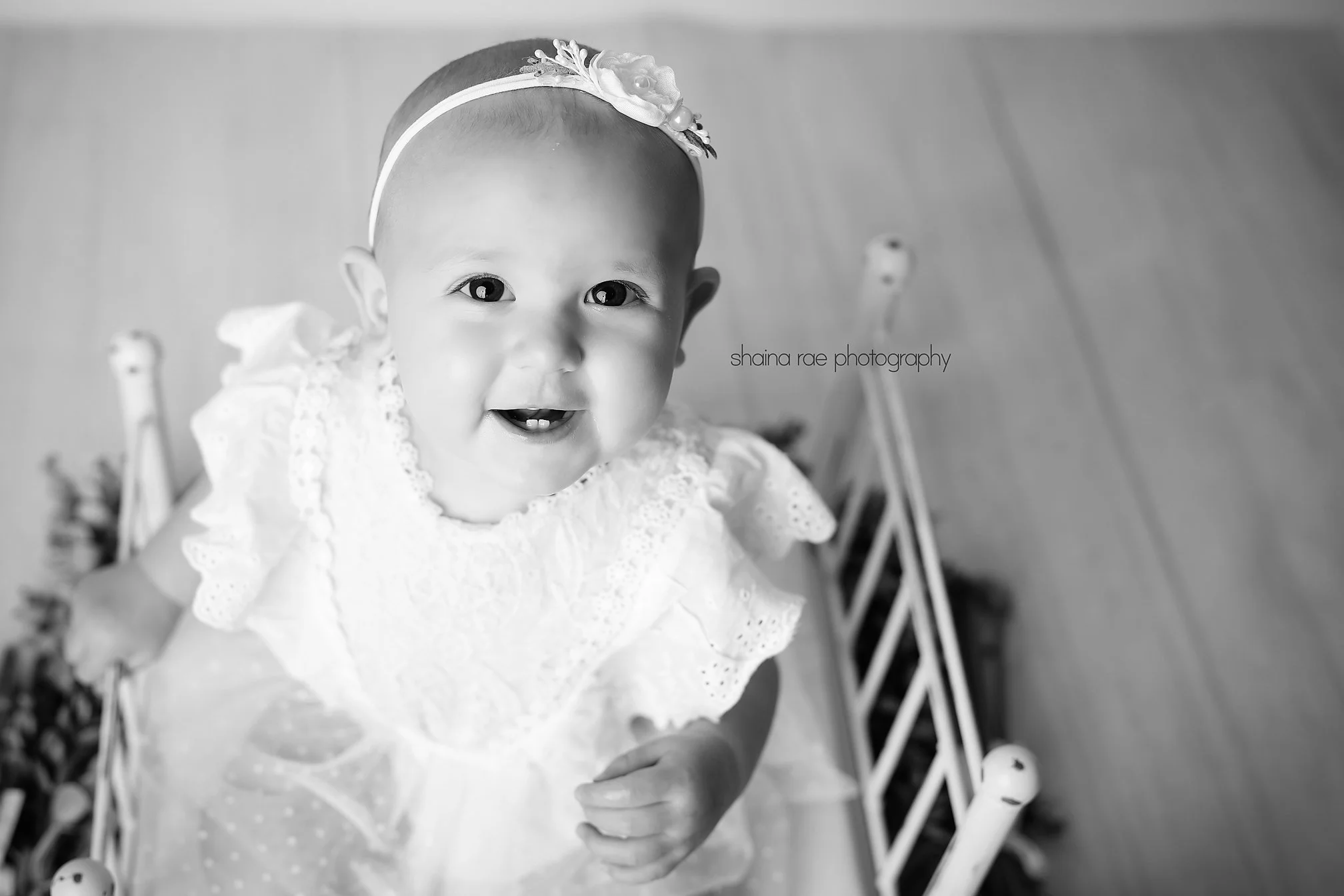 Margot-12x.jpg