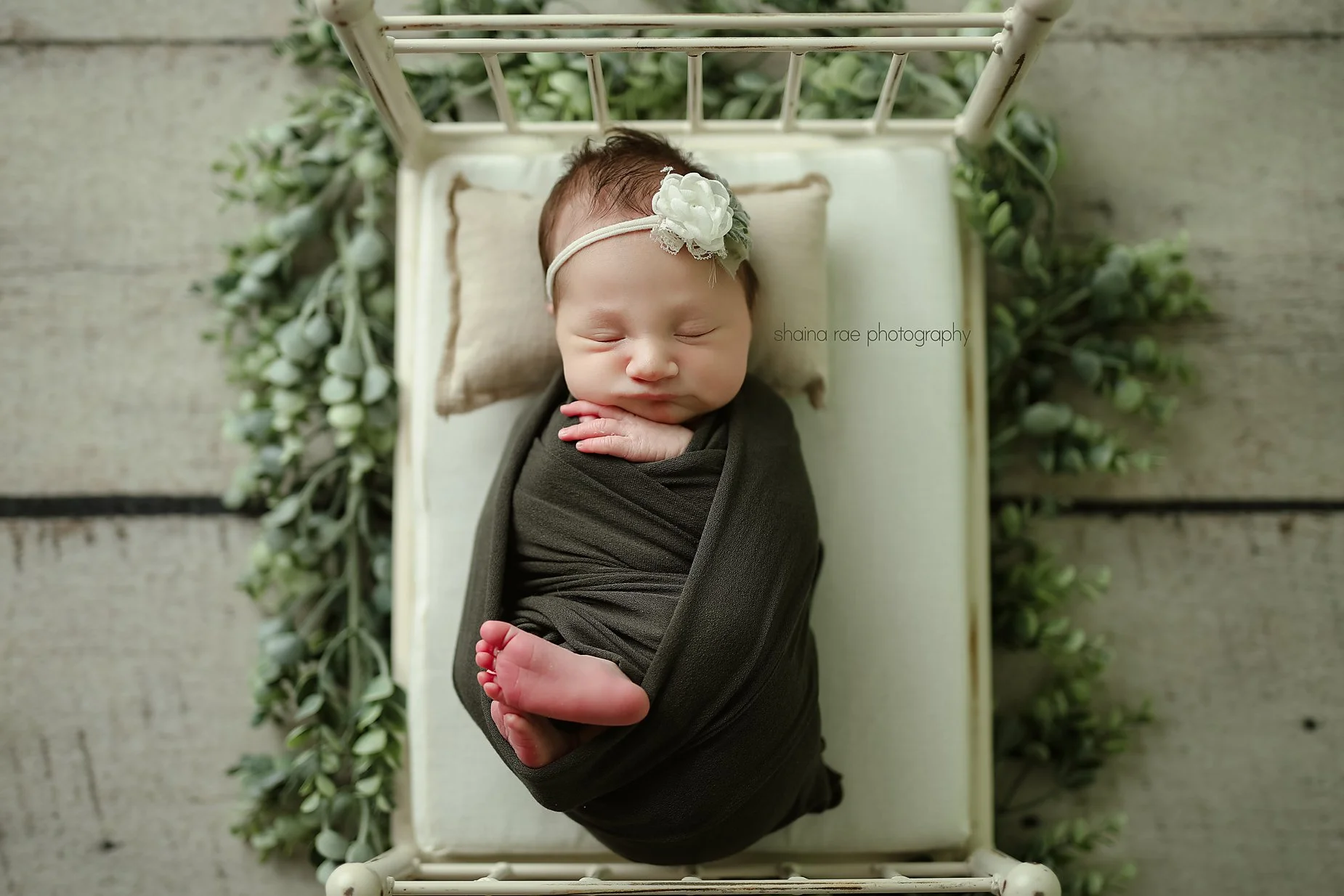 Finnley-24.jpg