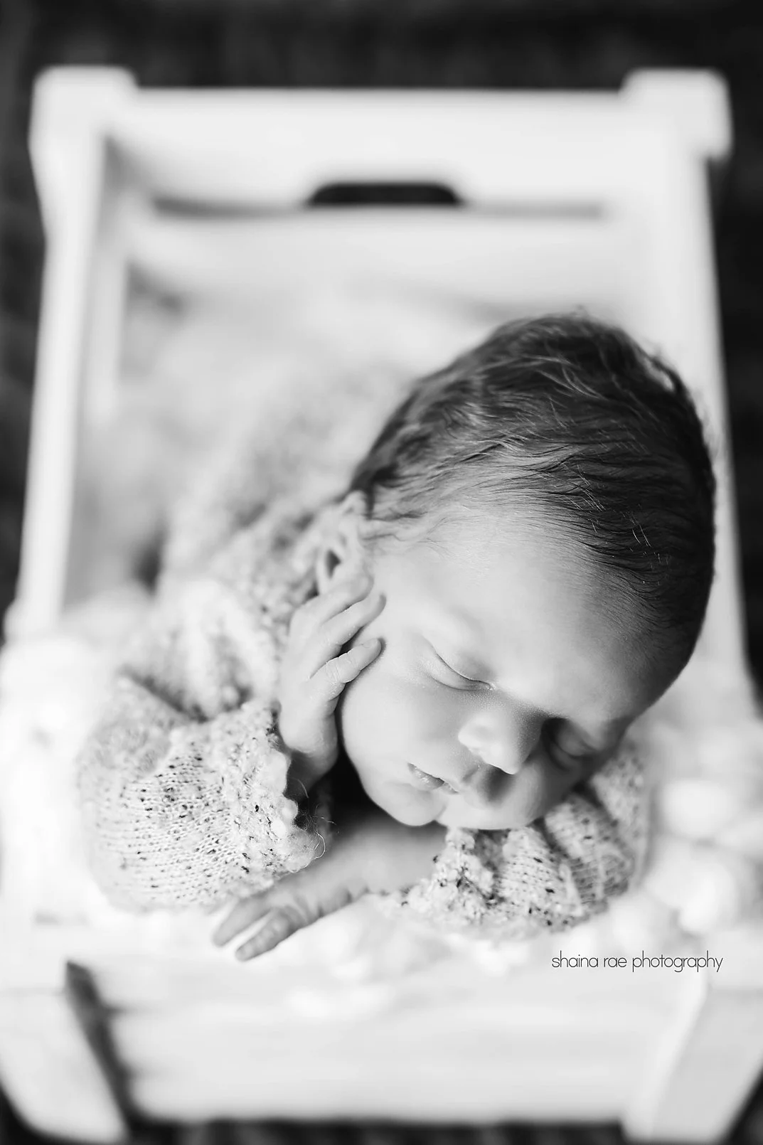 Karter-62.jpg