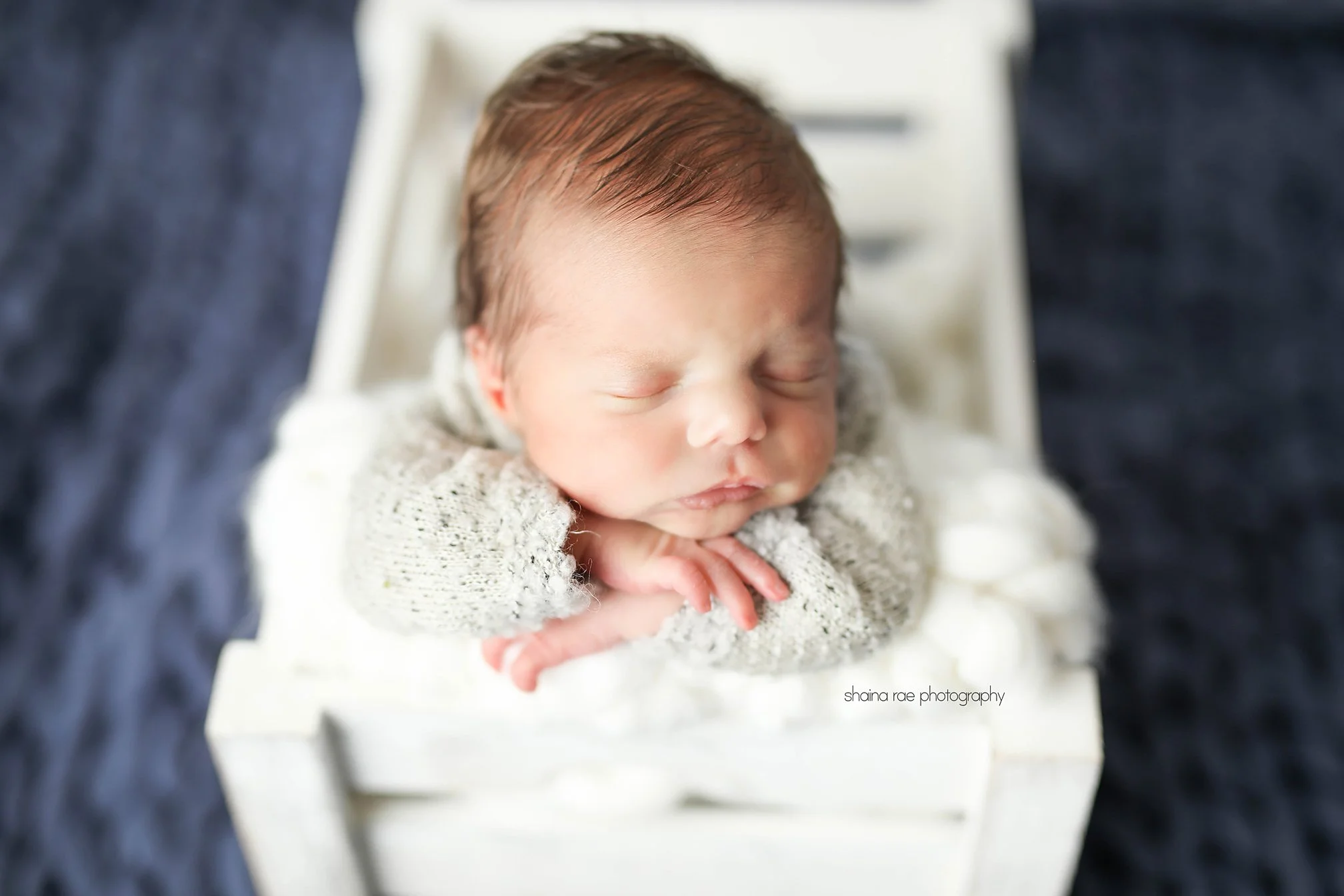 Karter-58.jpg