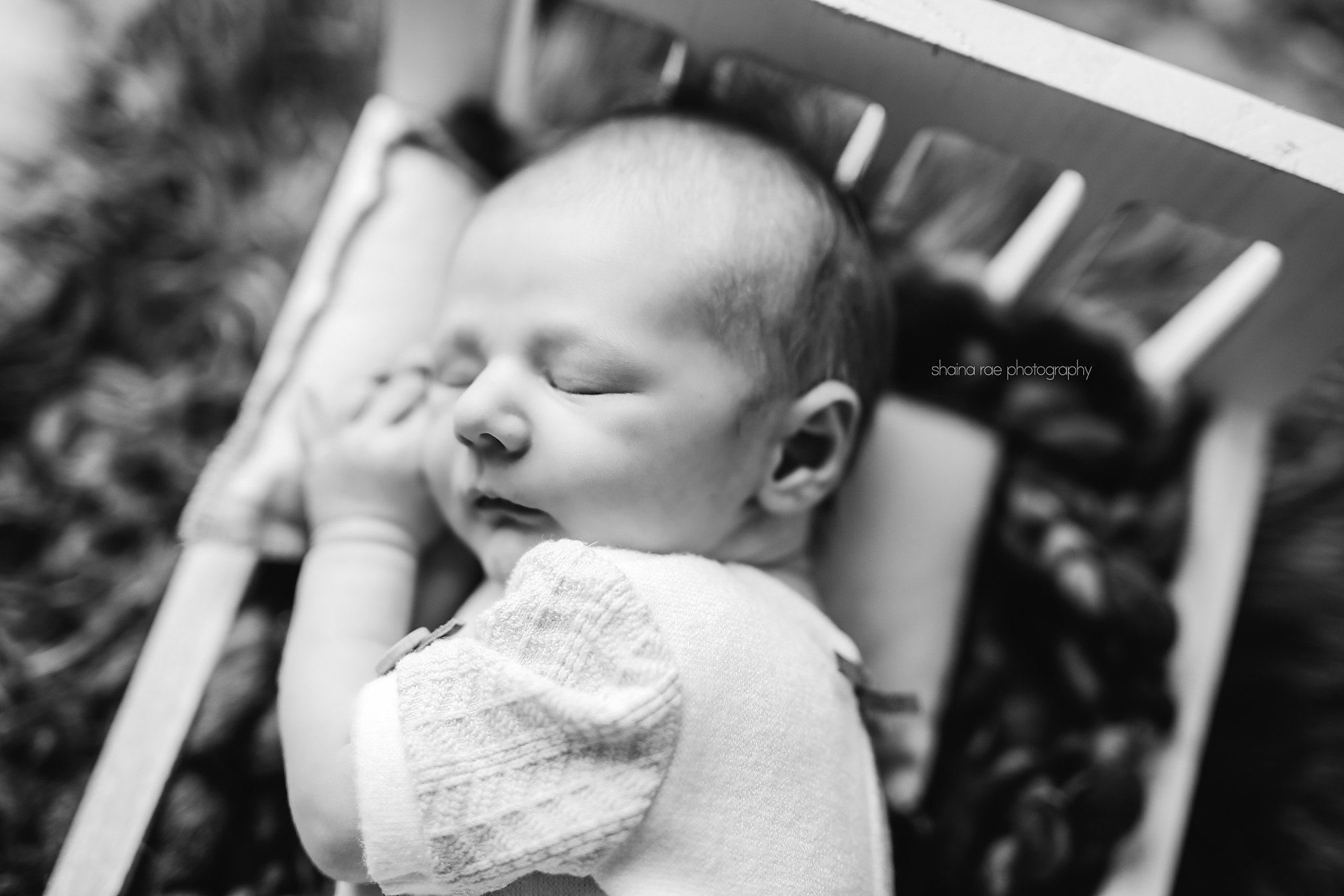 Caiden-18.jpg