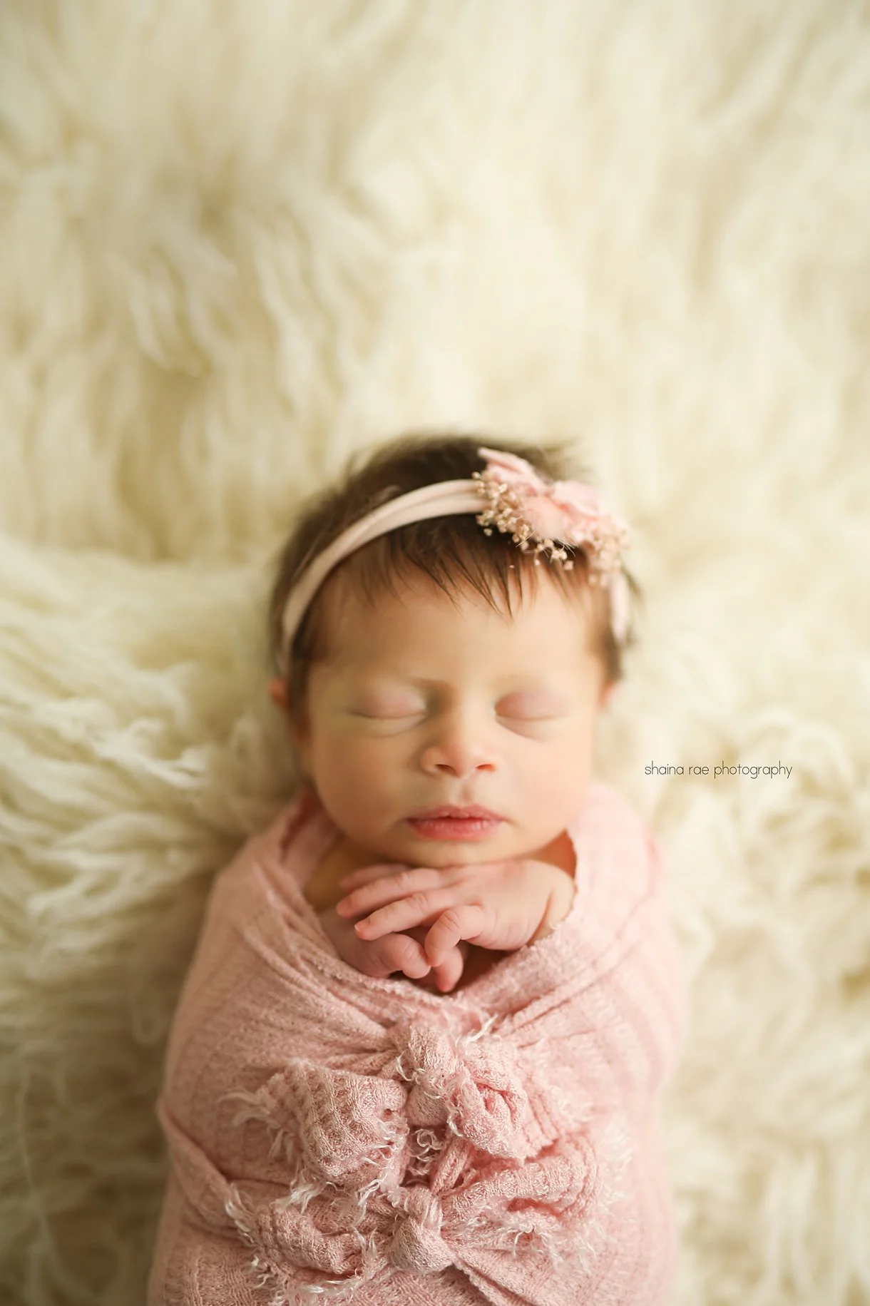 Wren-61.jpg