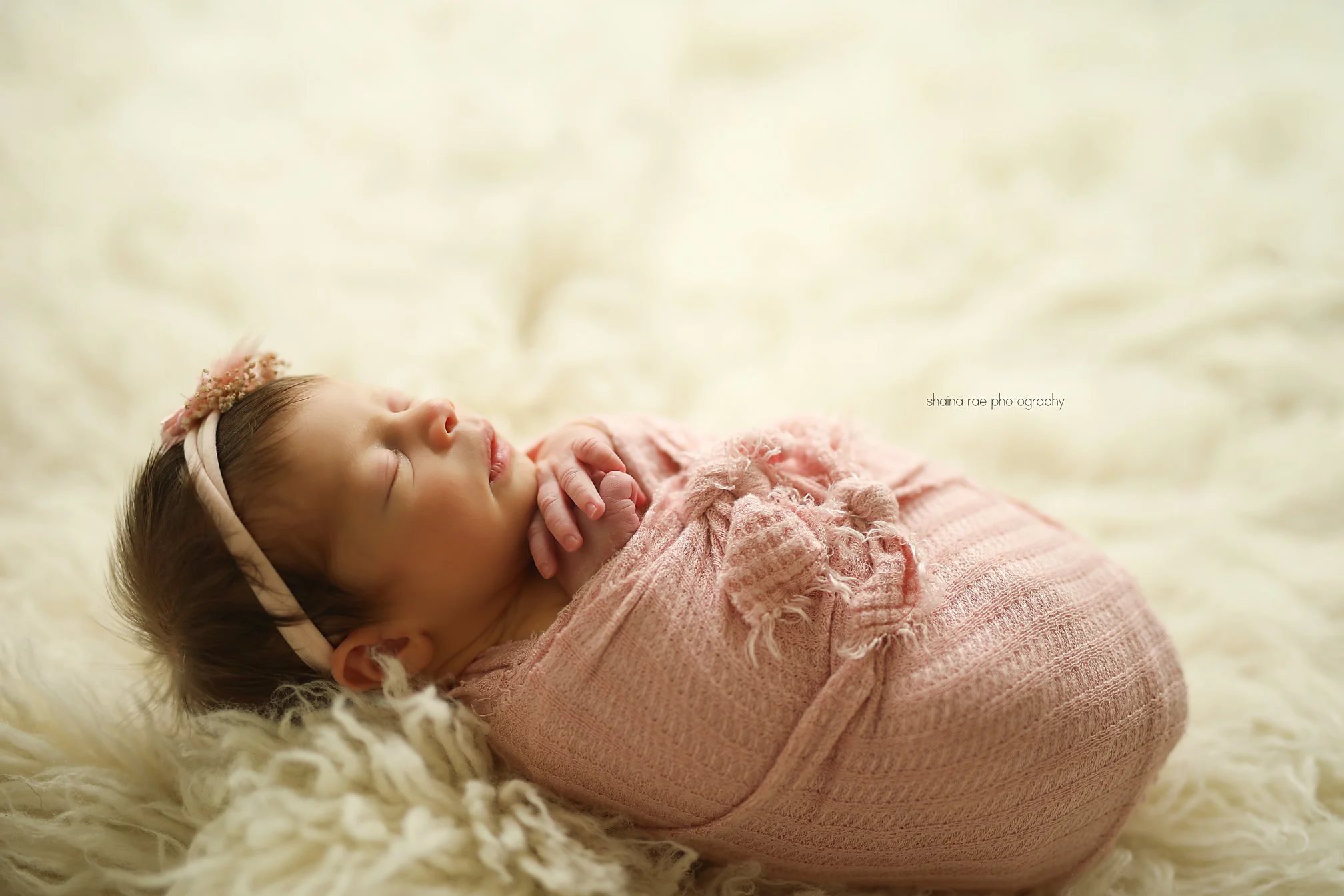 Wren-63.jpg