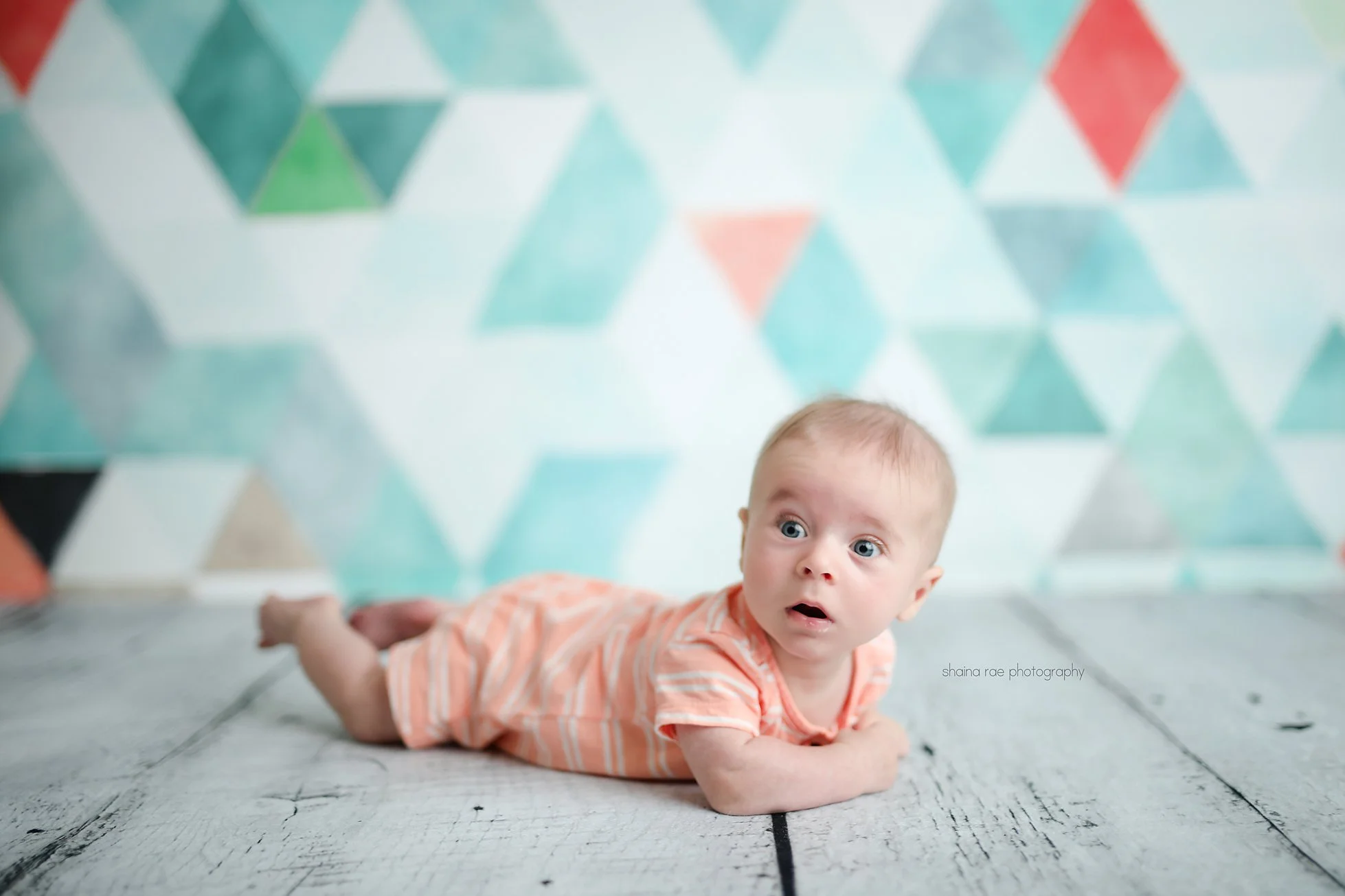 Rhett3--1.jpg