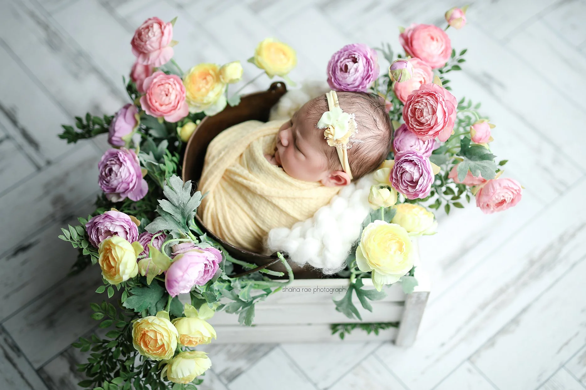 Violet-51.jpg