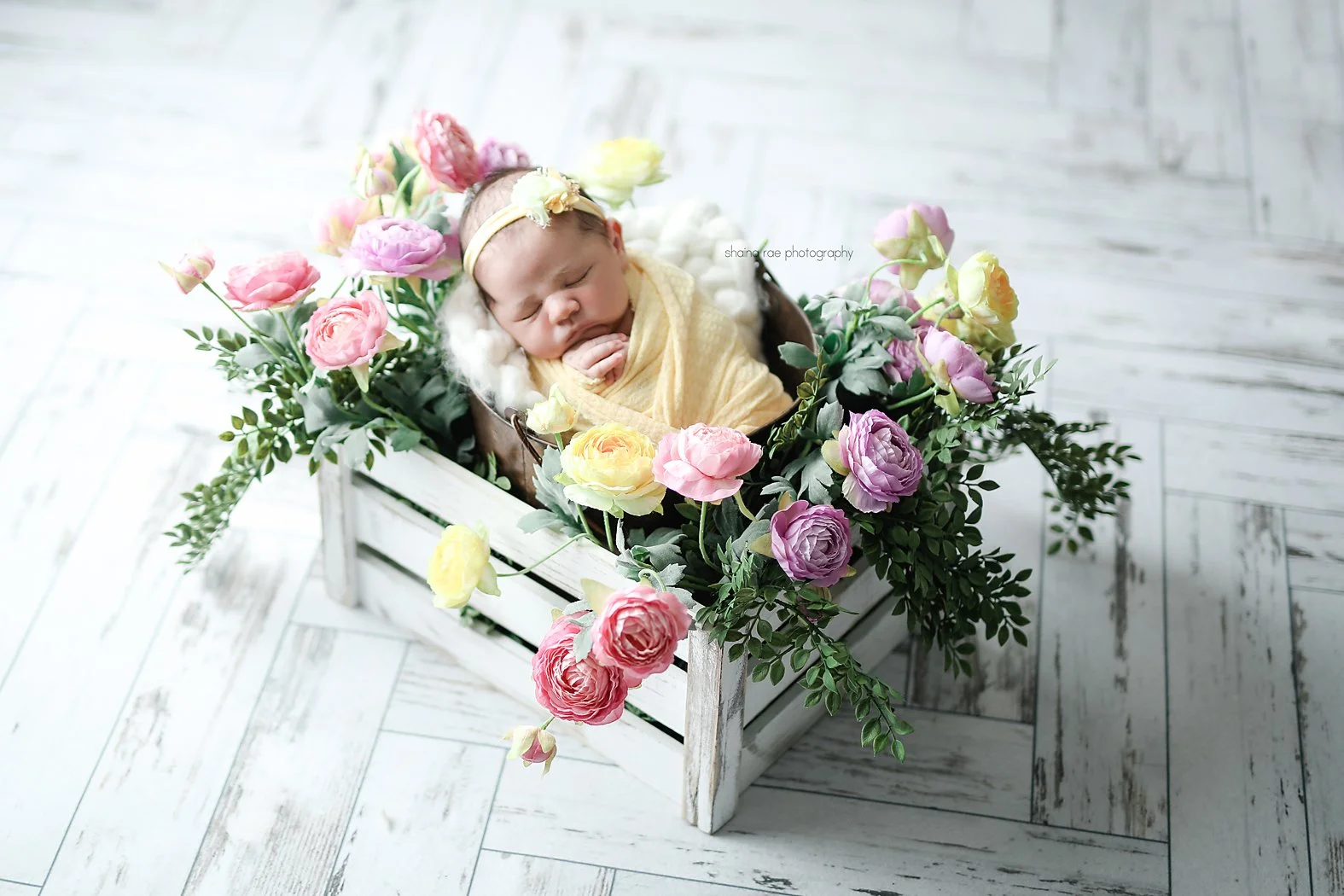 Violet-58.jpg