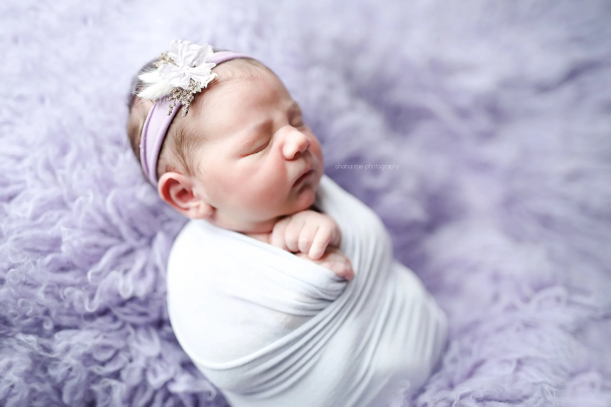 Violet-72.jpg