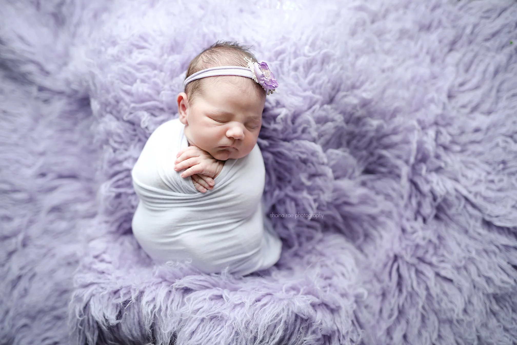 Violet-78.jpg
