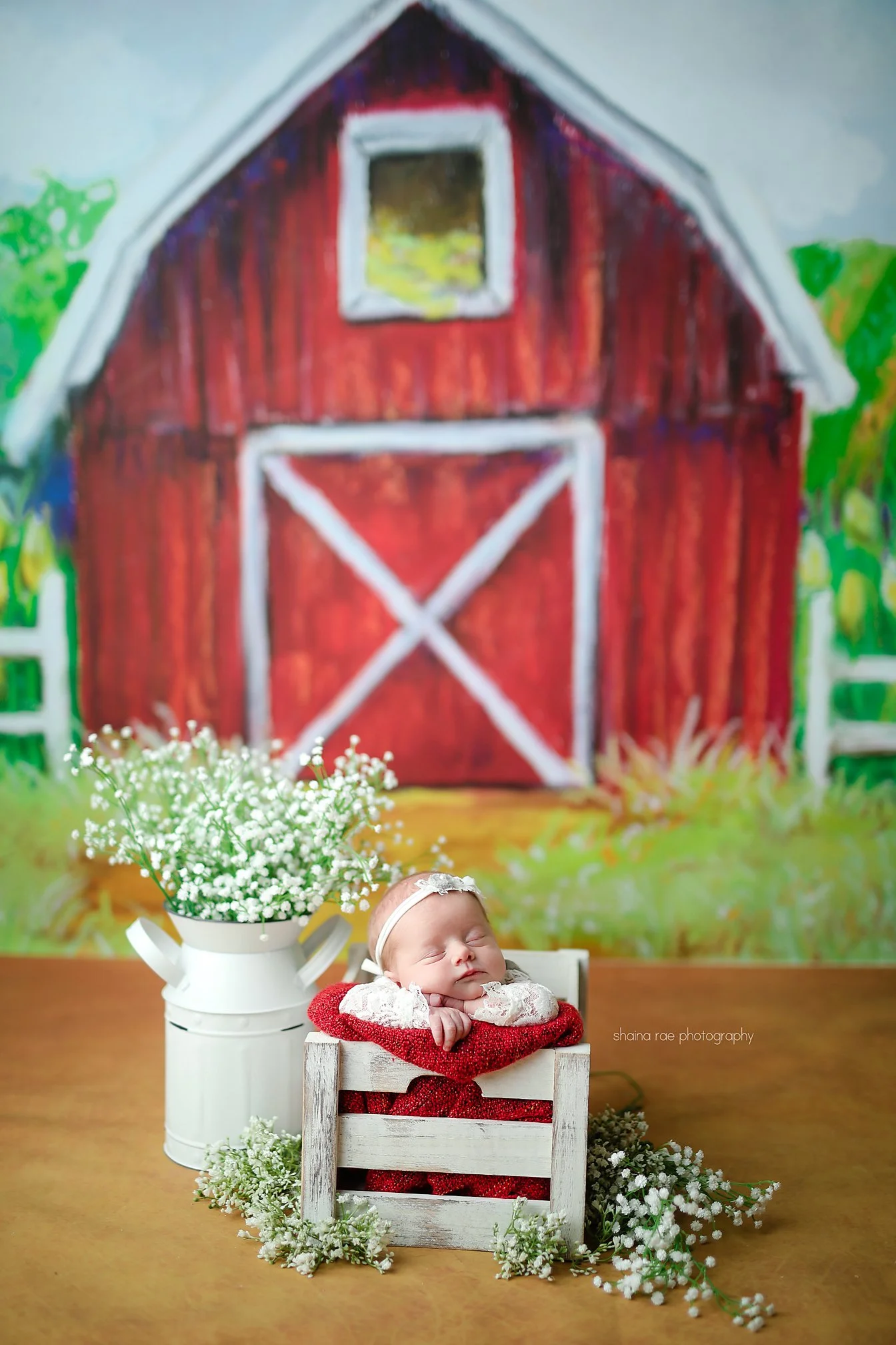 Teagan-52.jpg