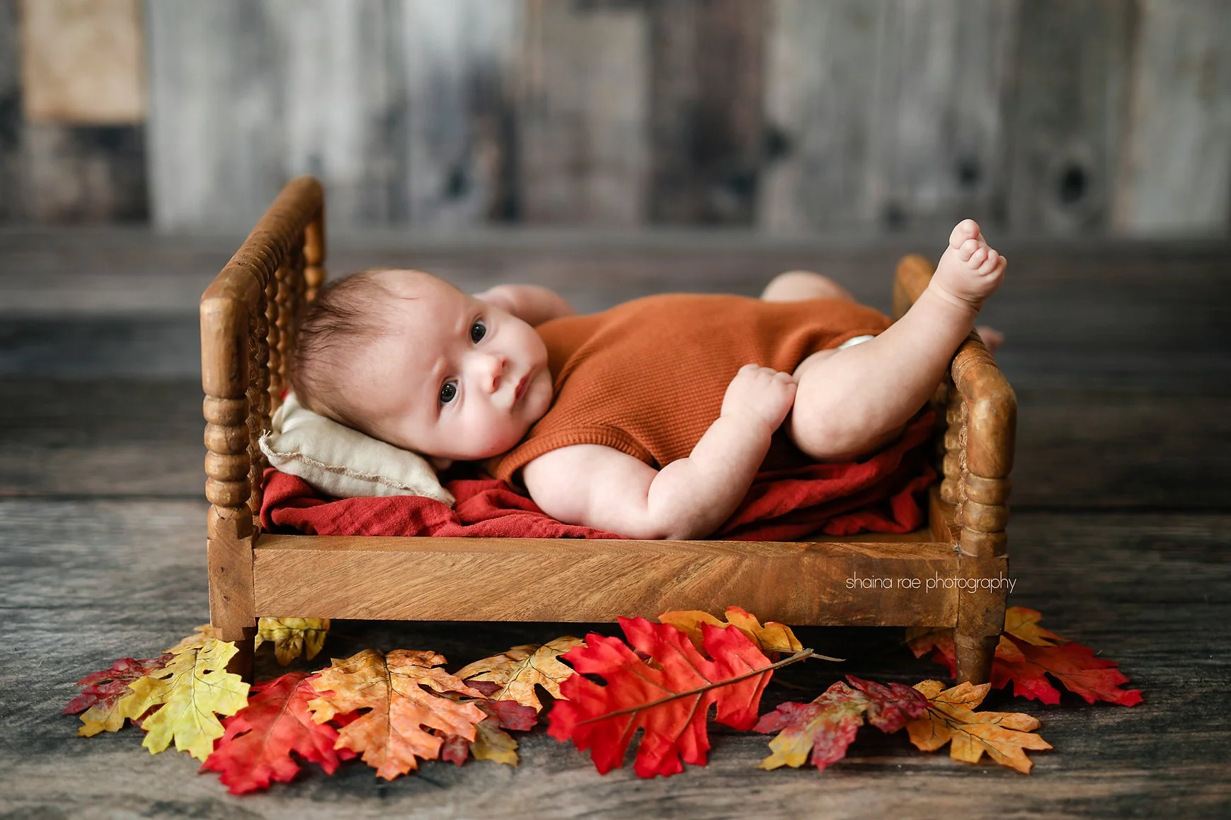 Sonny3--20.jpg