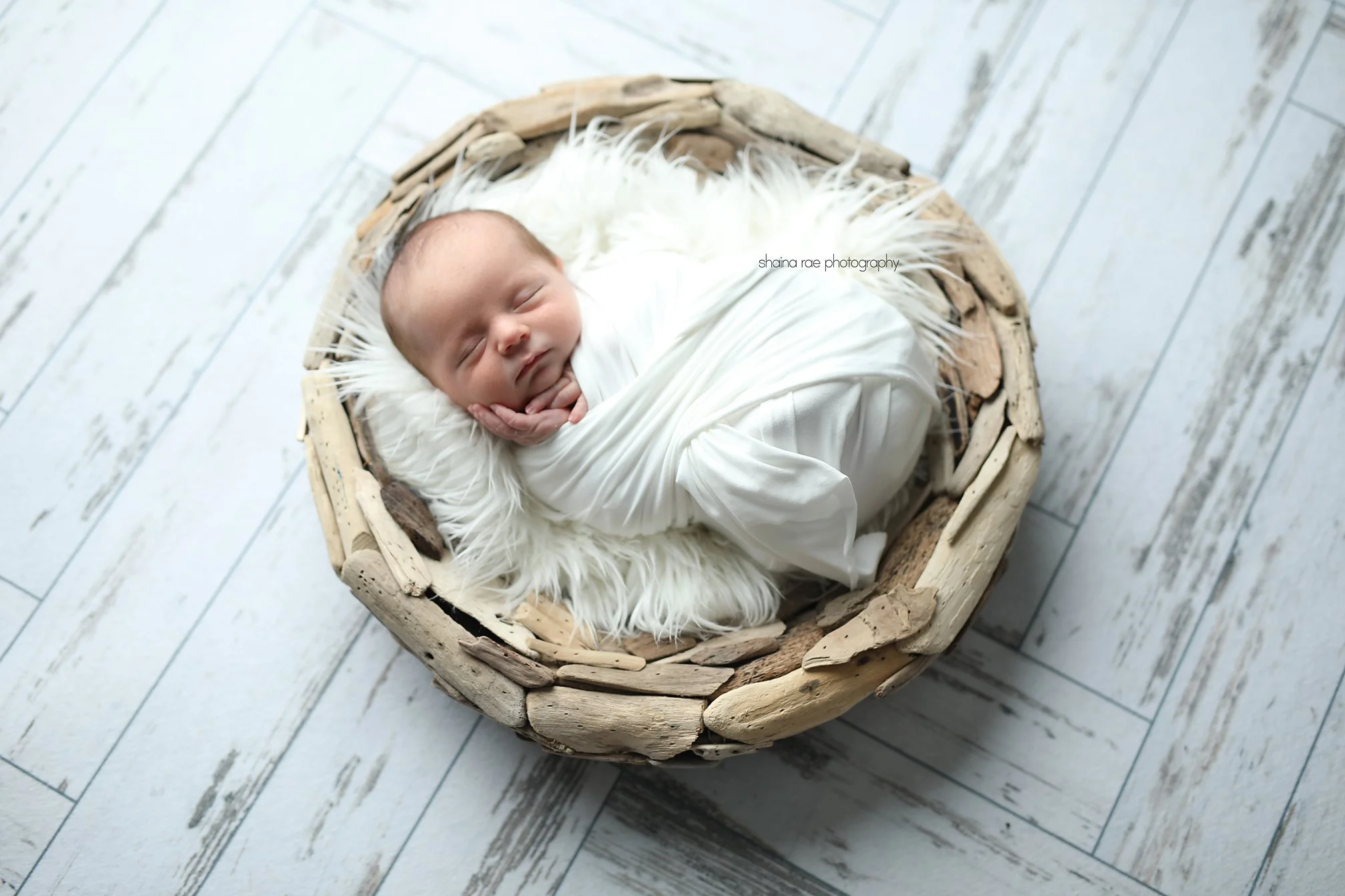 Isaiah-37.jpg