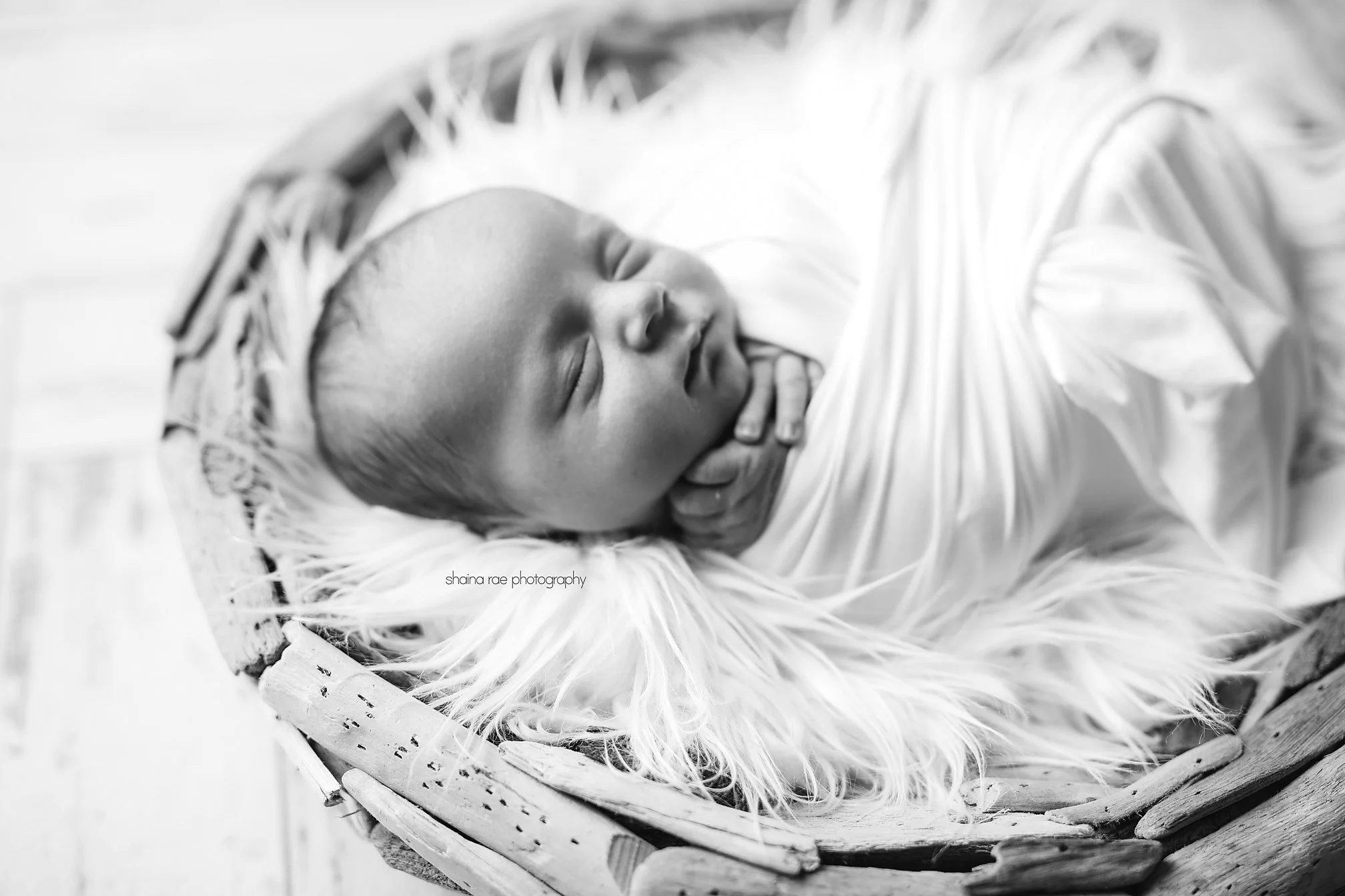 Isaiah-41.jpg