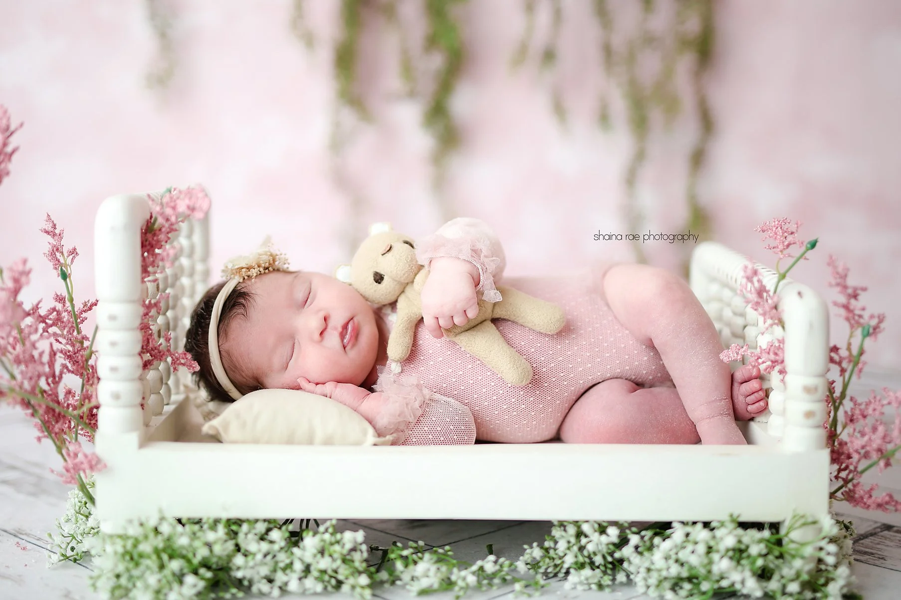 Amelia-5.jpg