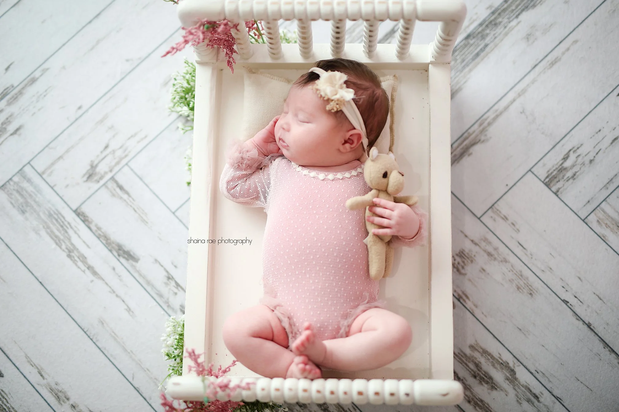 Amelia-9.jpg