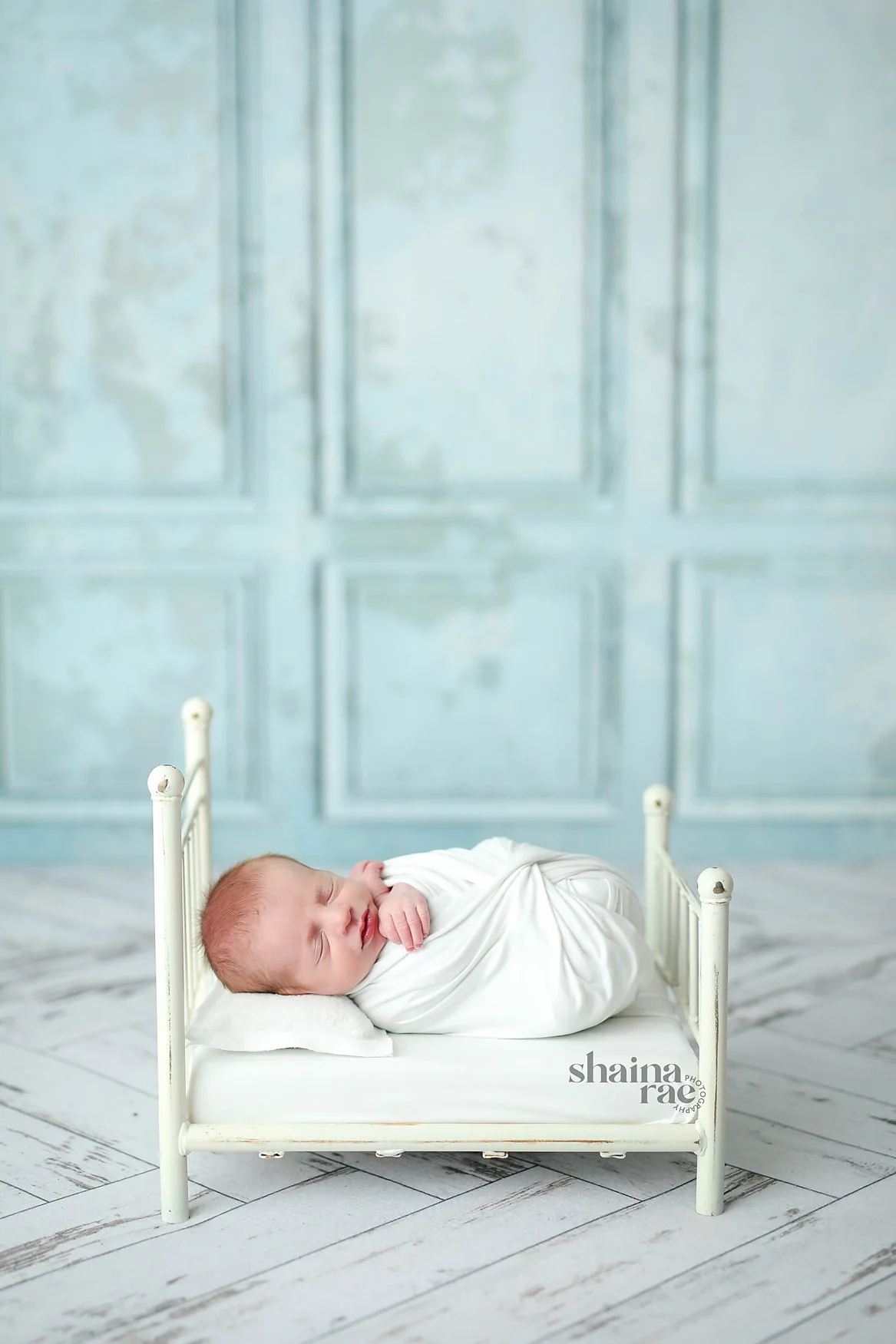 Theo-4.jpg