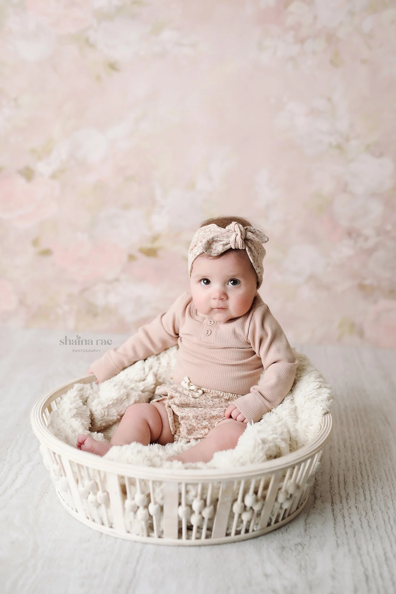 Violet6-1.jpg
