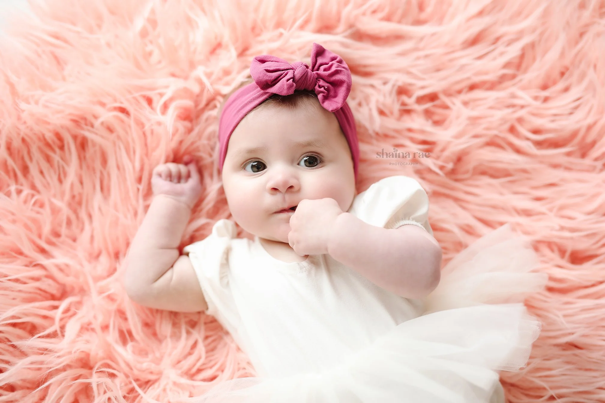 Violet6-48.jpg