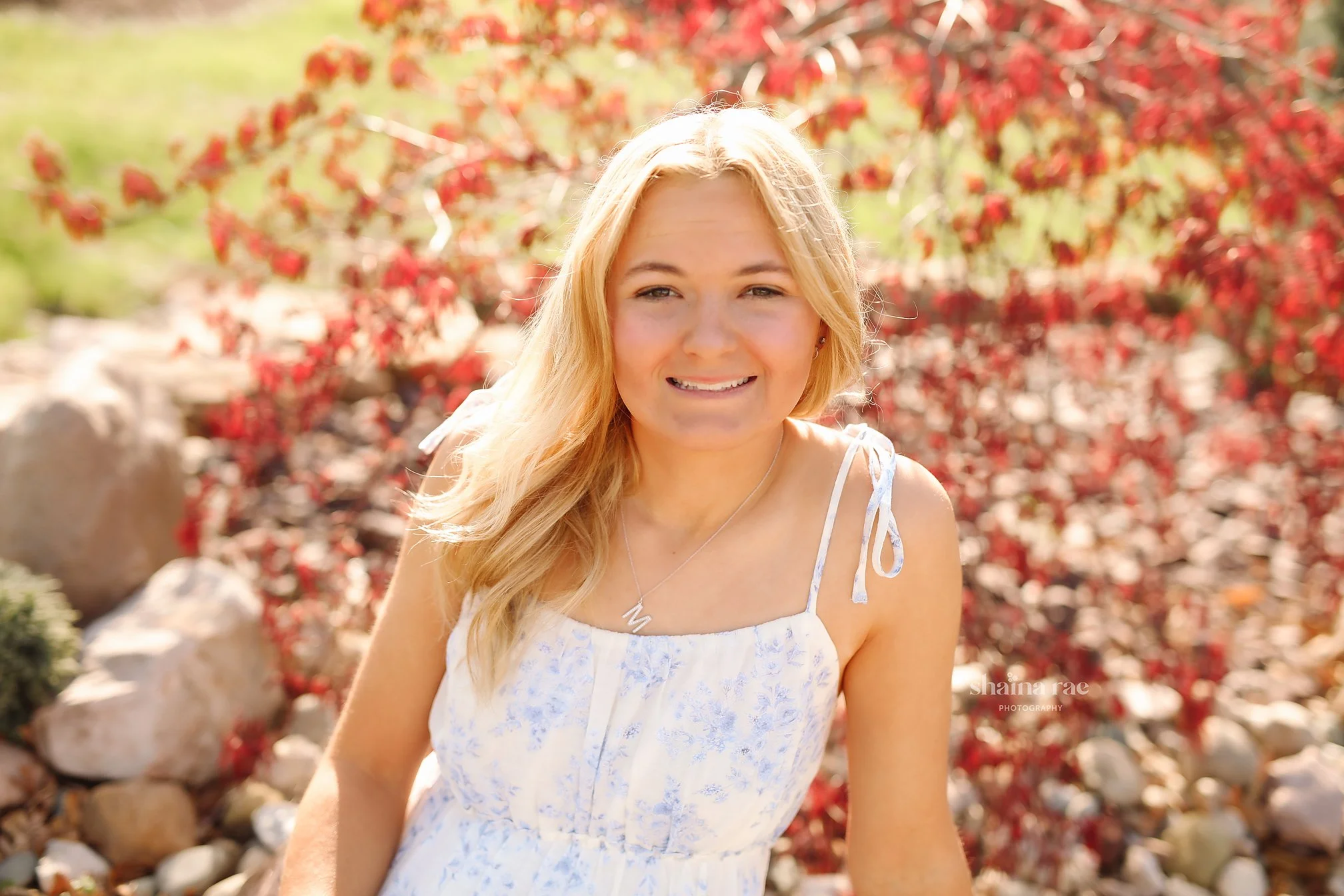 Maci-9.jpg