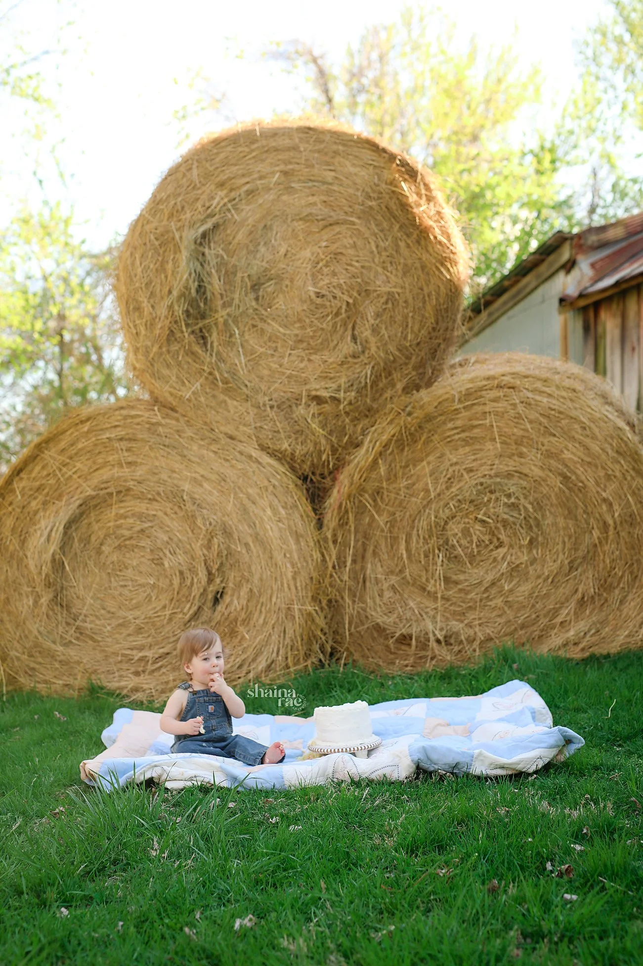 Rhett1-85.jpg