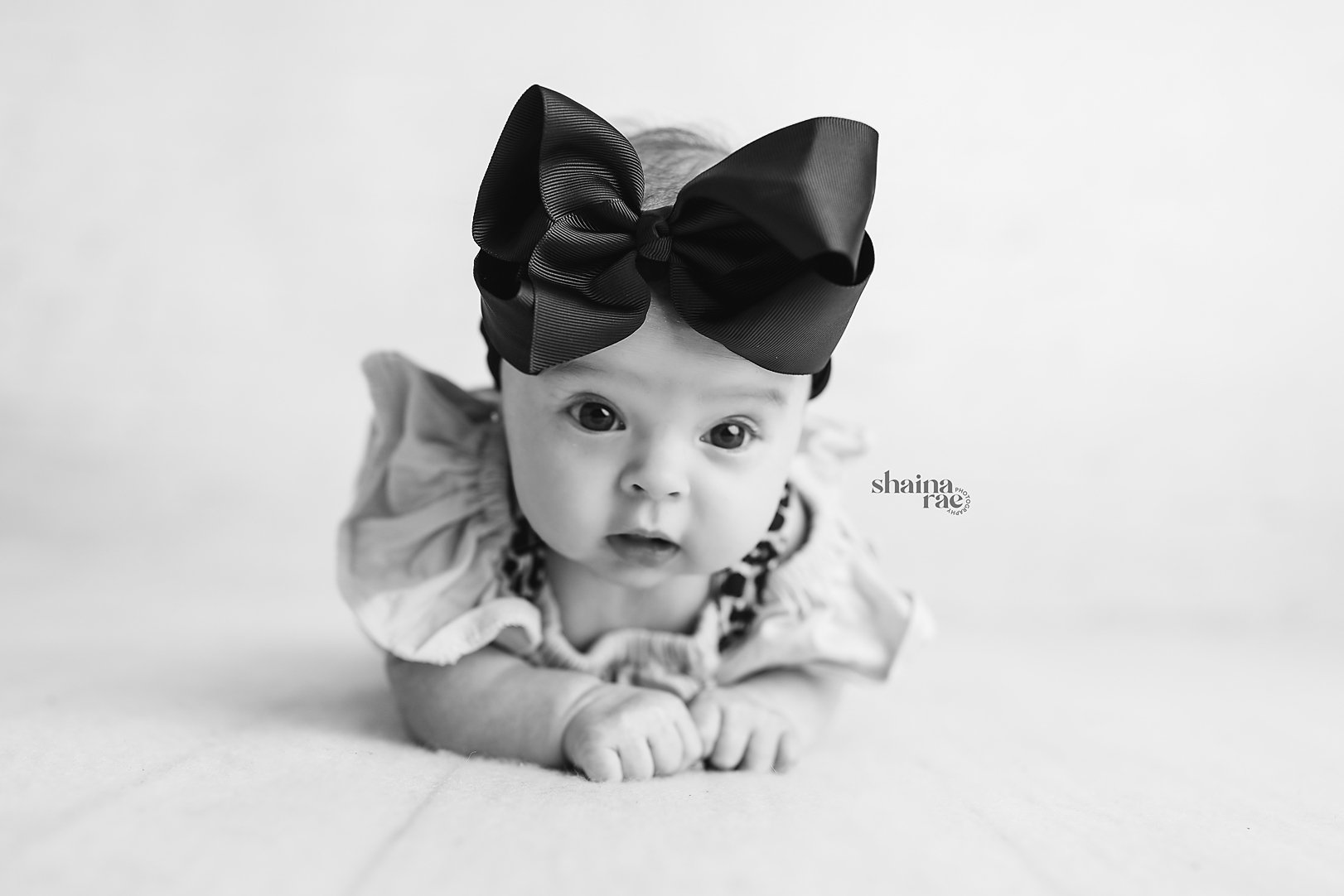 Paisley-12.jpg