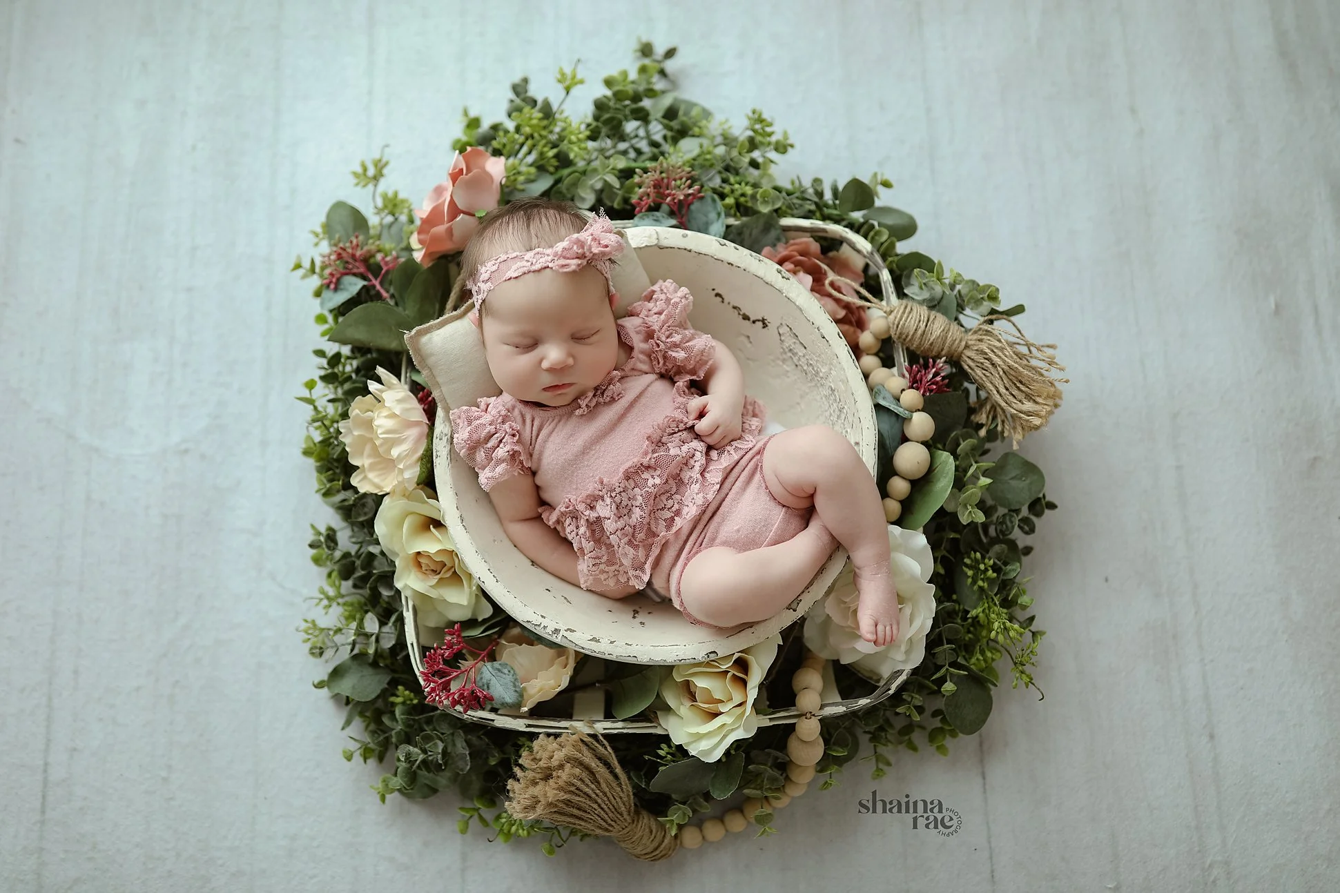 Josephine-1.jpg