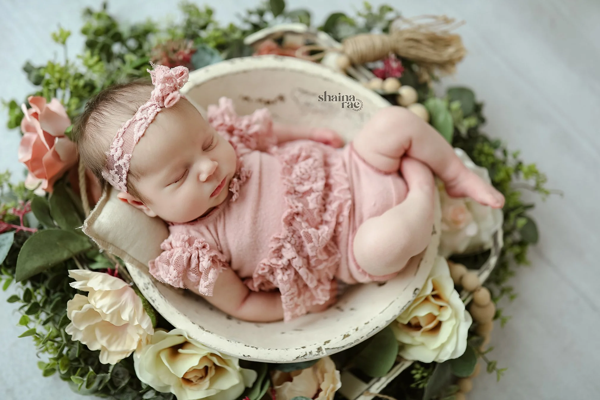 Josephine-2.jpg