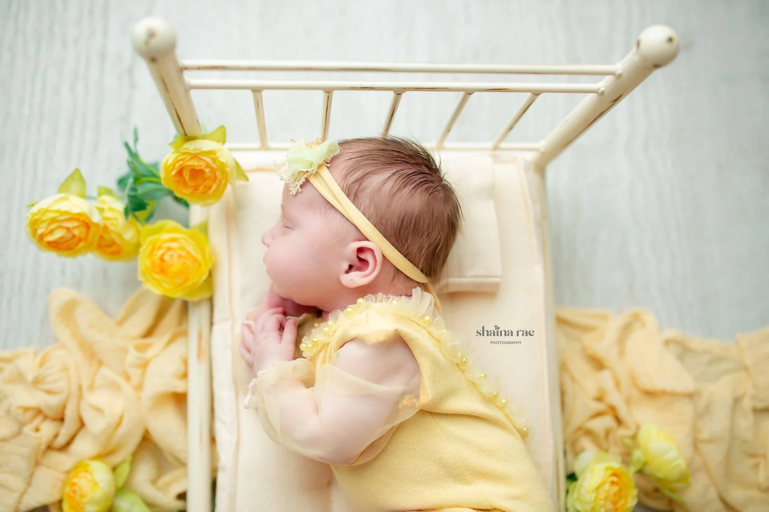 Jacey-51.jpg