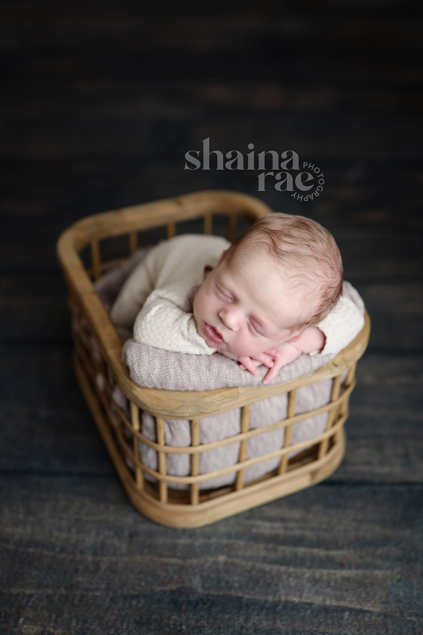 Shea-56.jpg