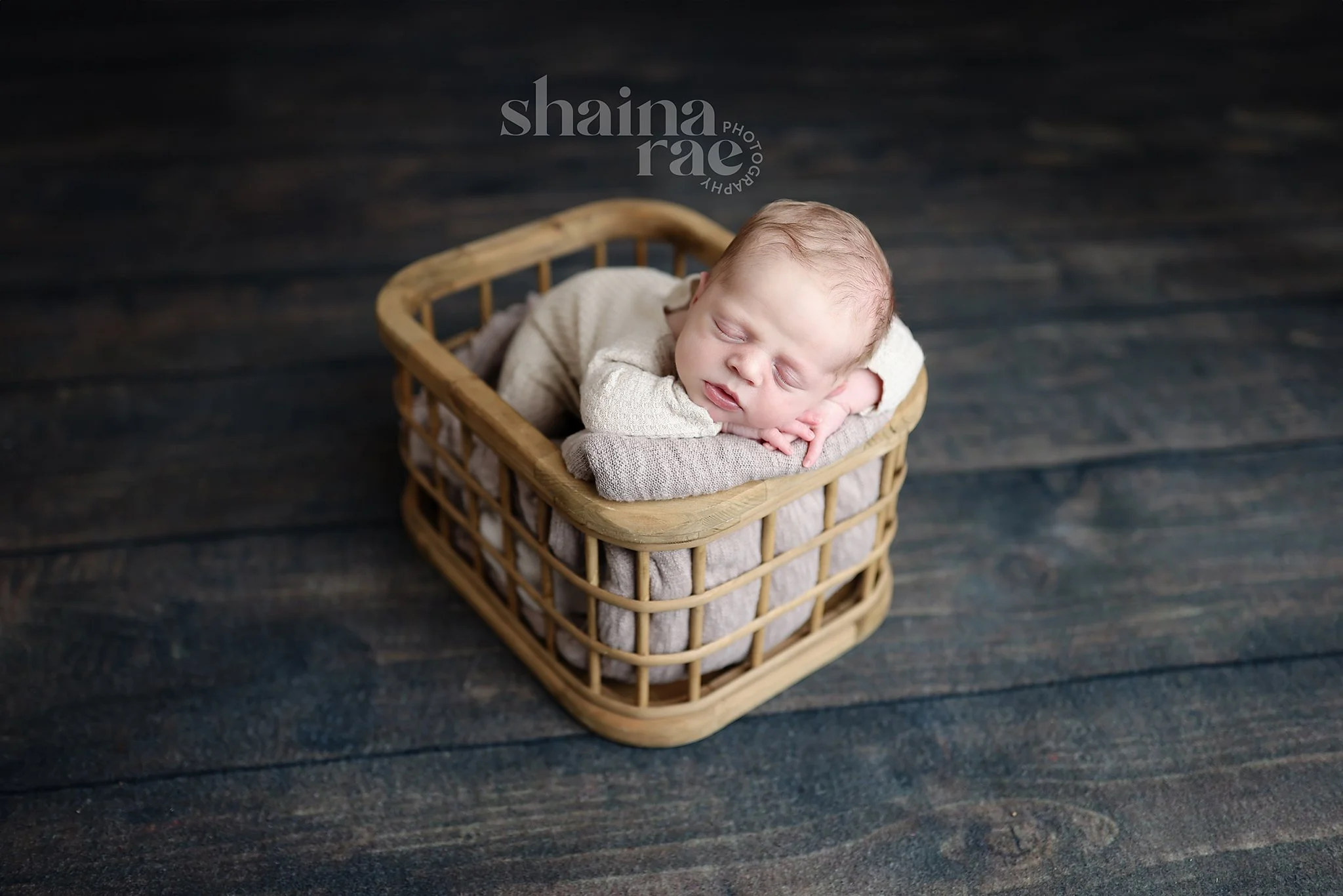 Shea-58.jpg