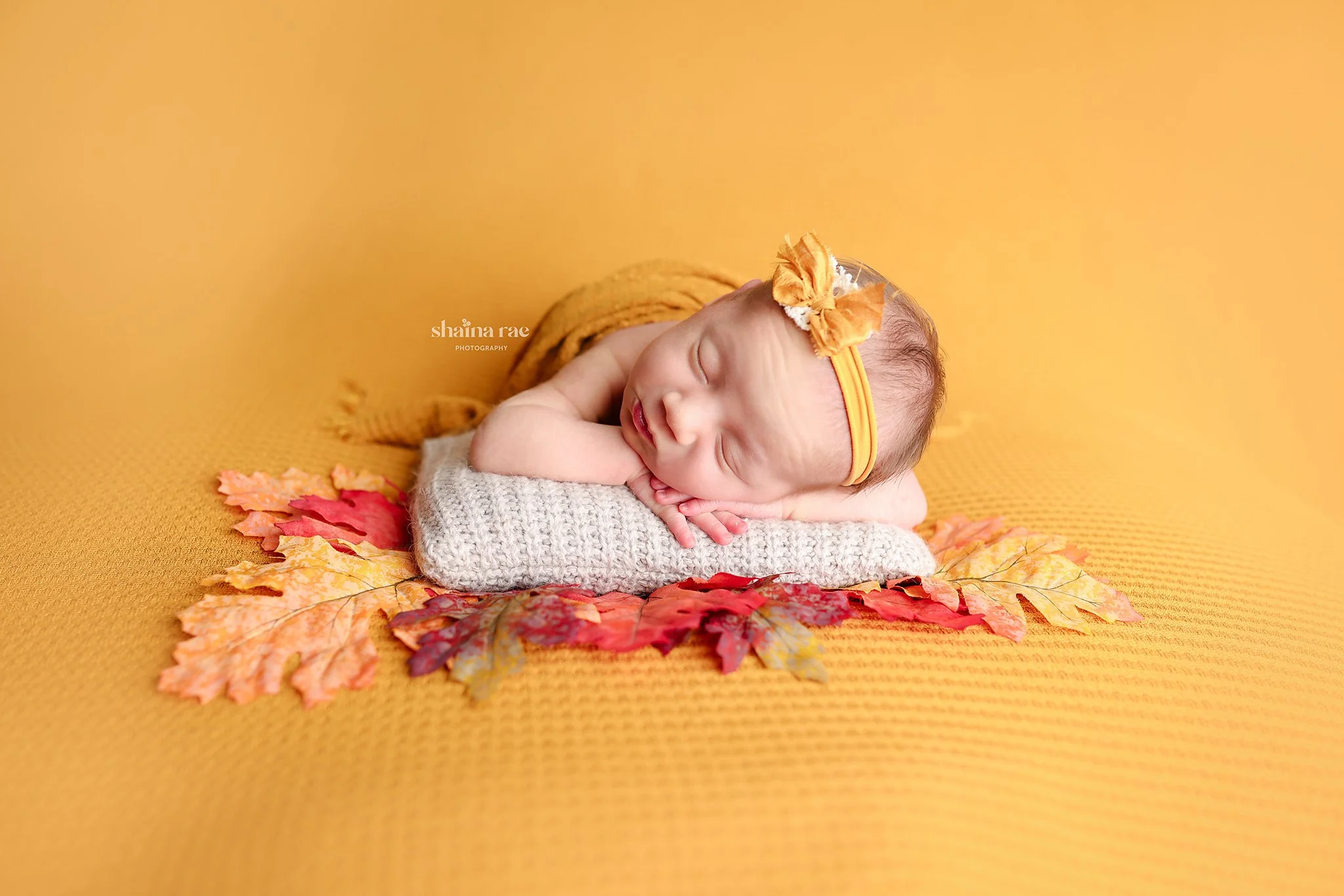 Cadence-60.jpg