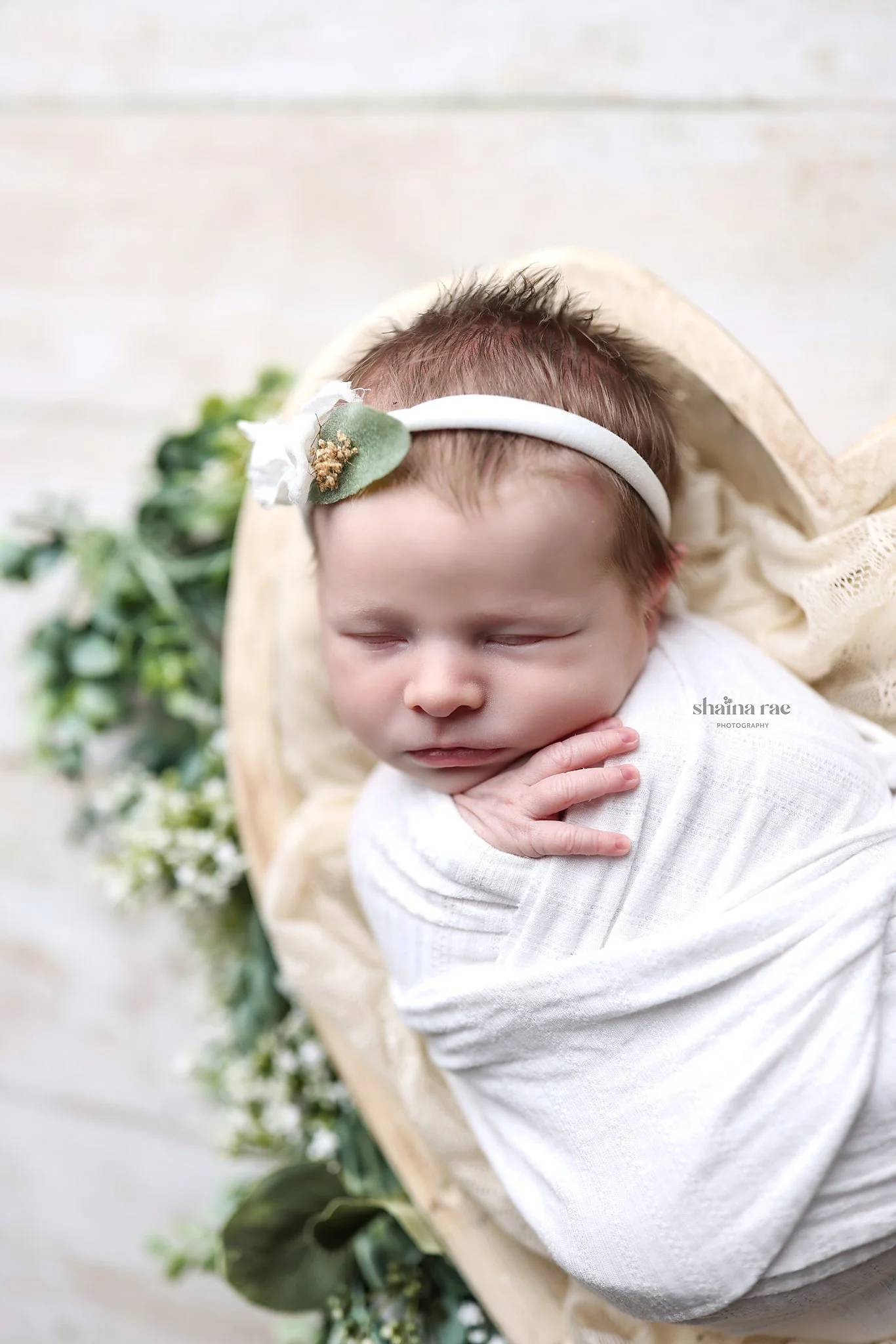 Eleanor-101.jpg
