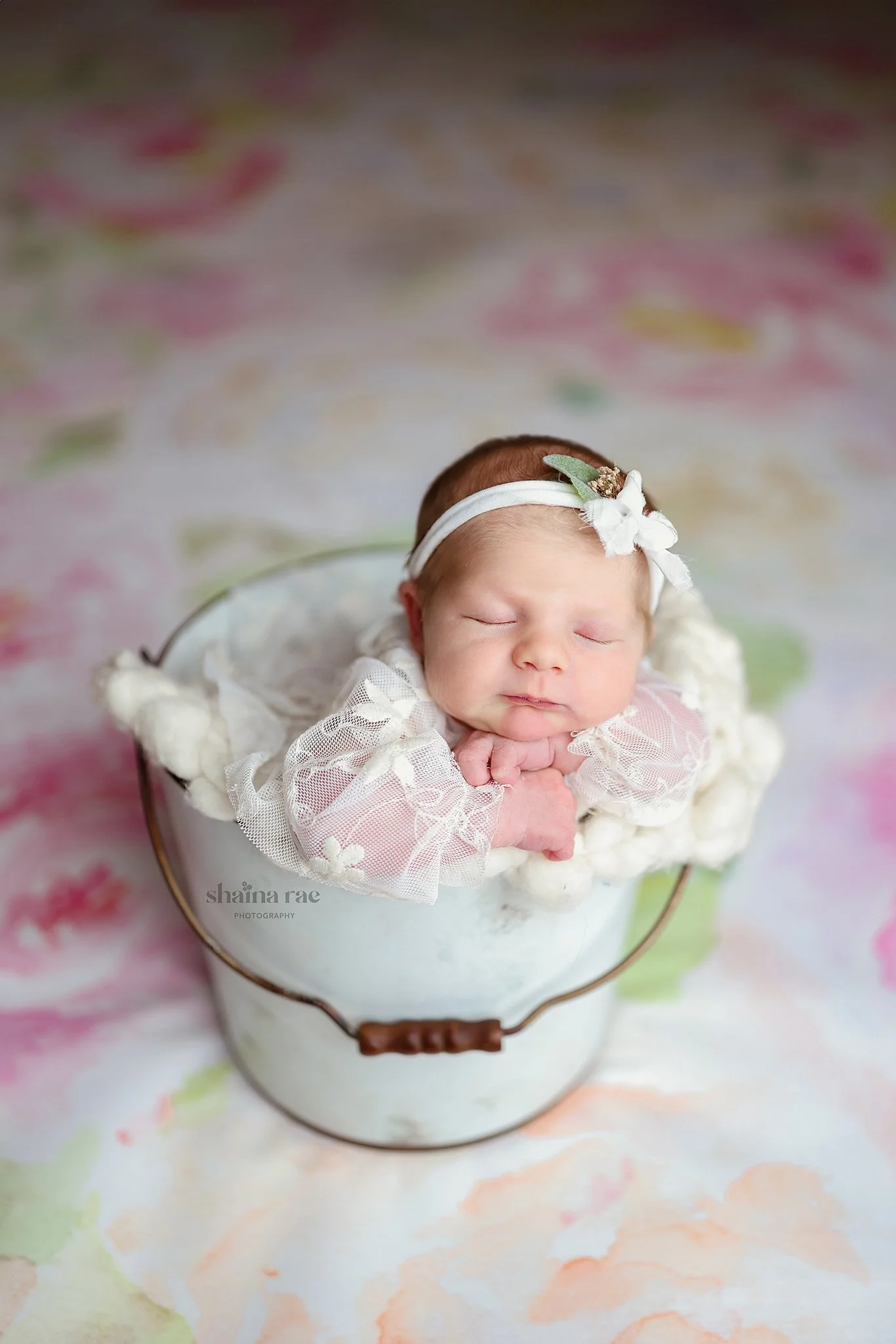 Ivy-116.jpg