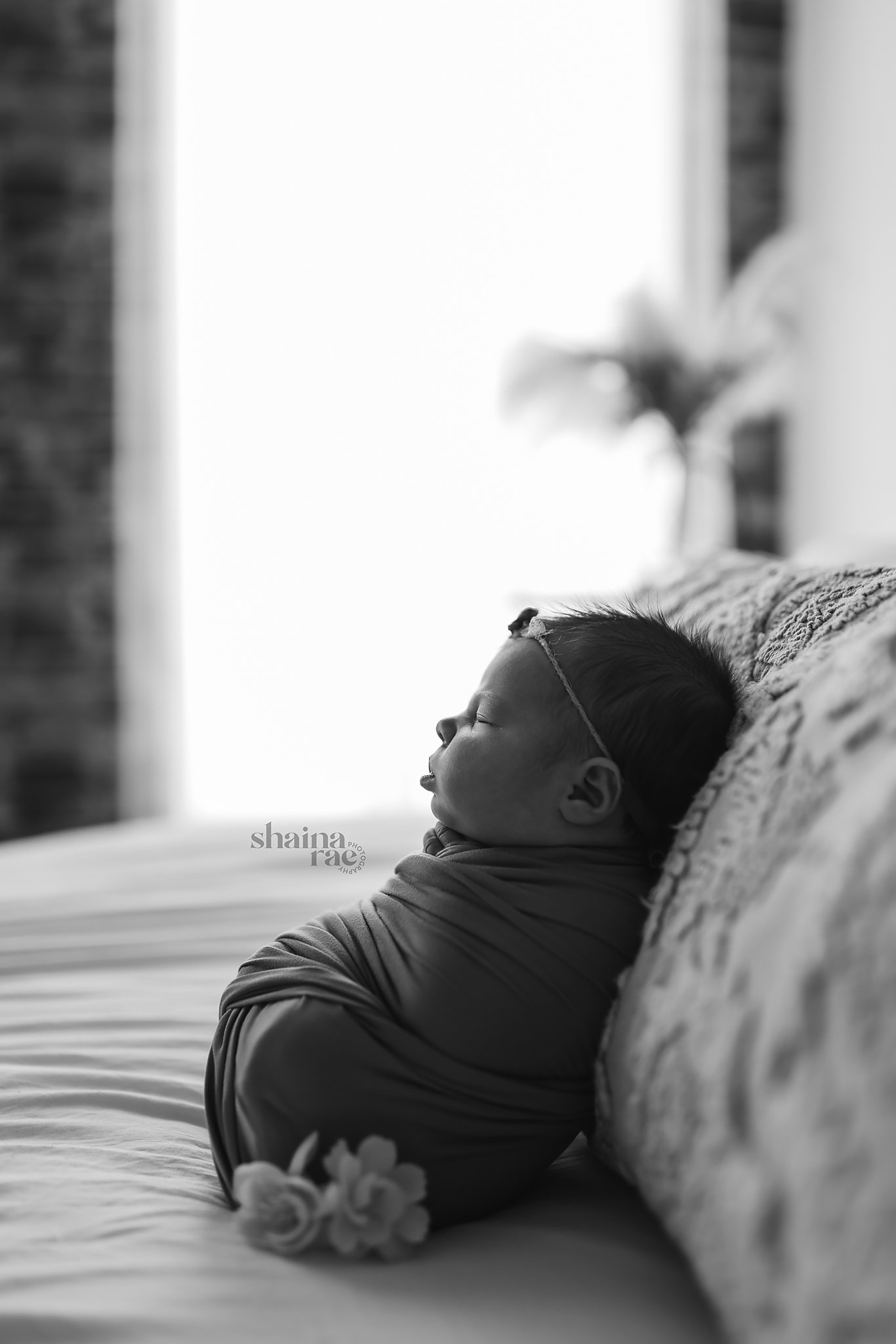 Evie-40.jpg