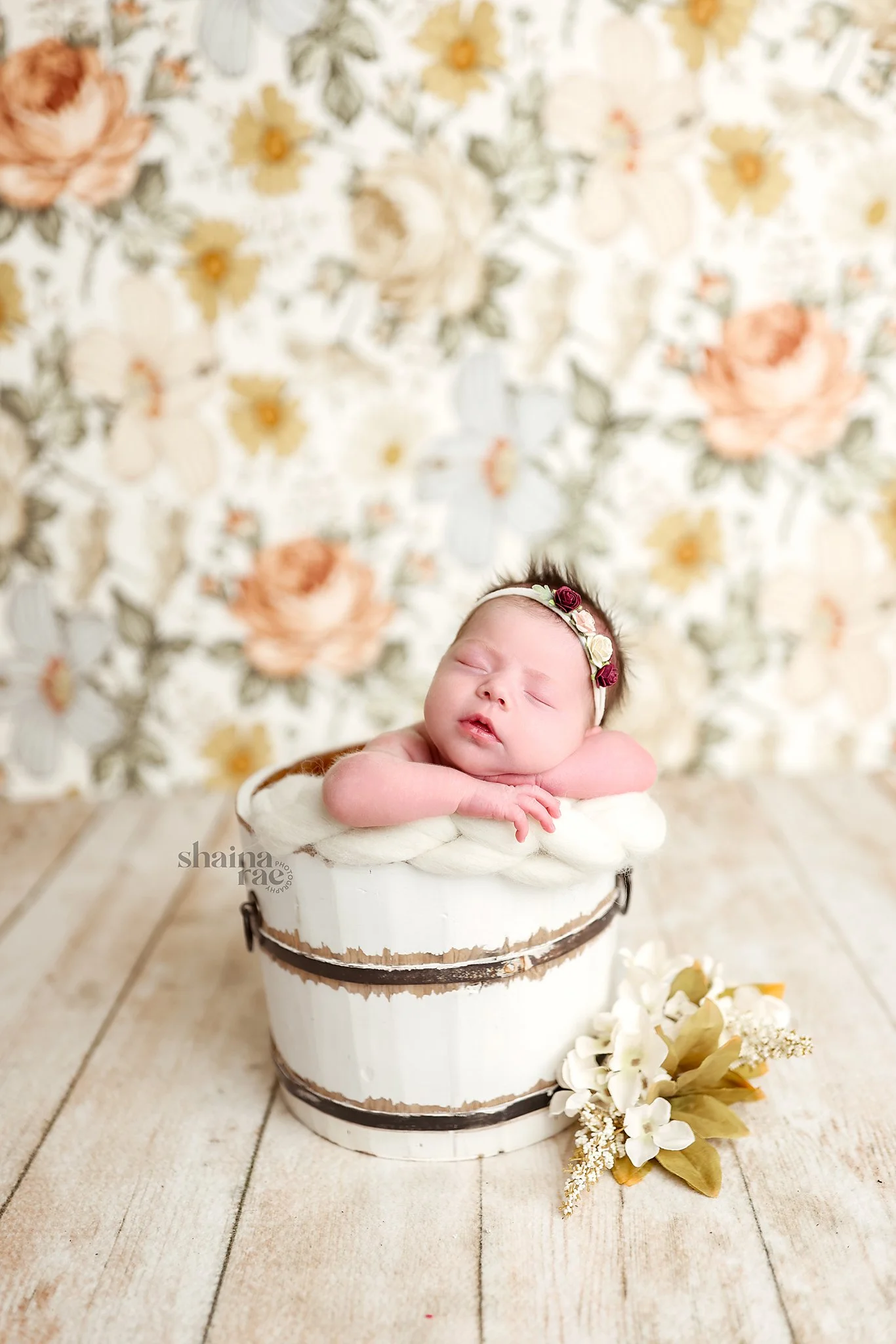 Evie-42.jpg